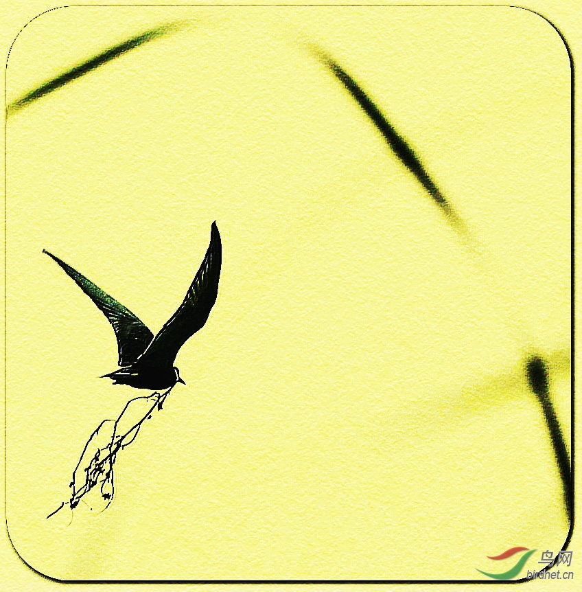 8J6A2127_����_����.jpg