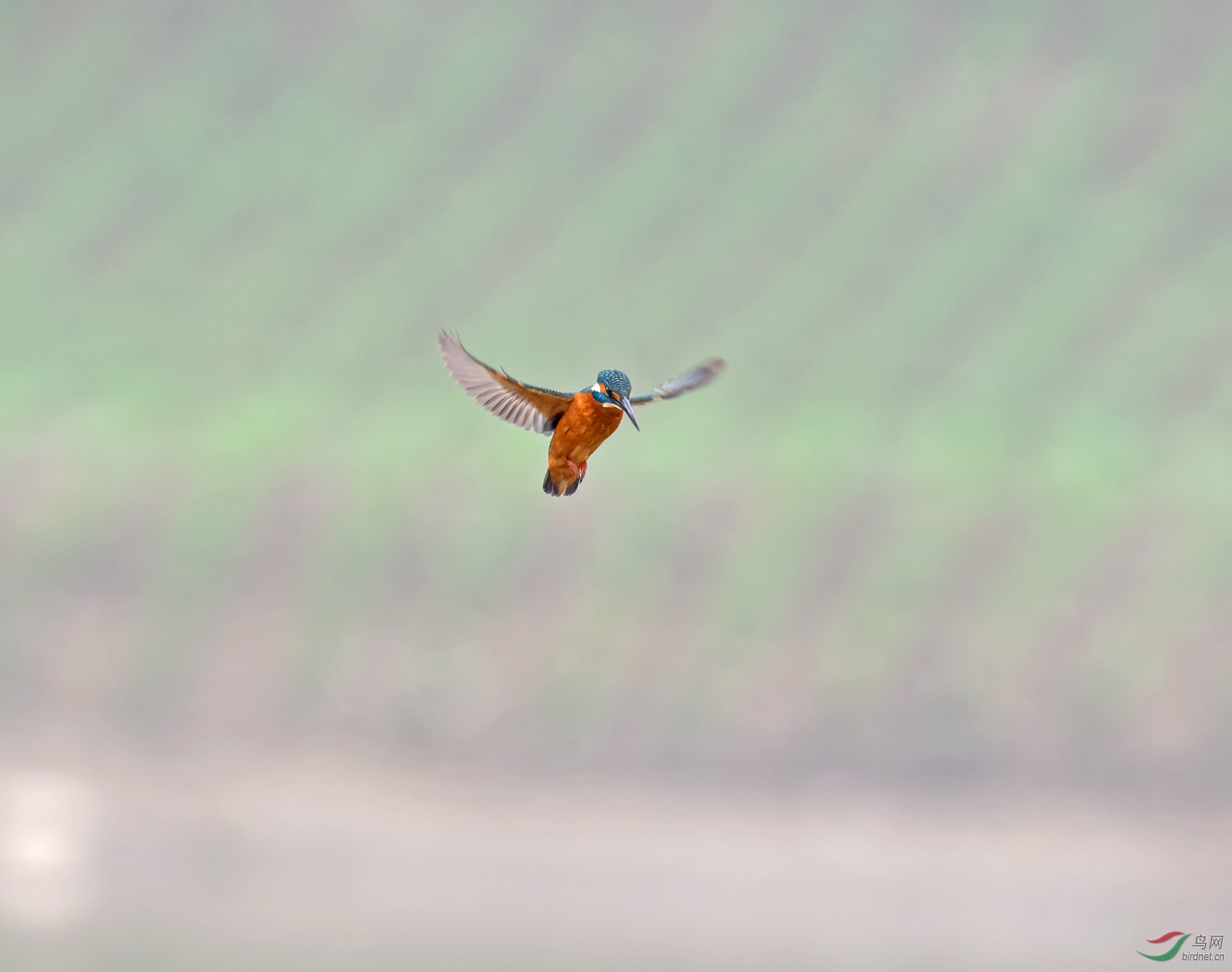 DSC_2735.jpg