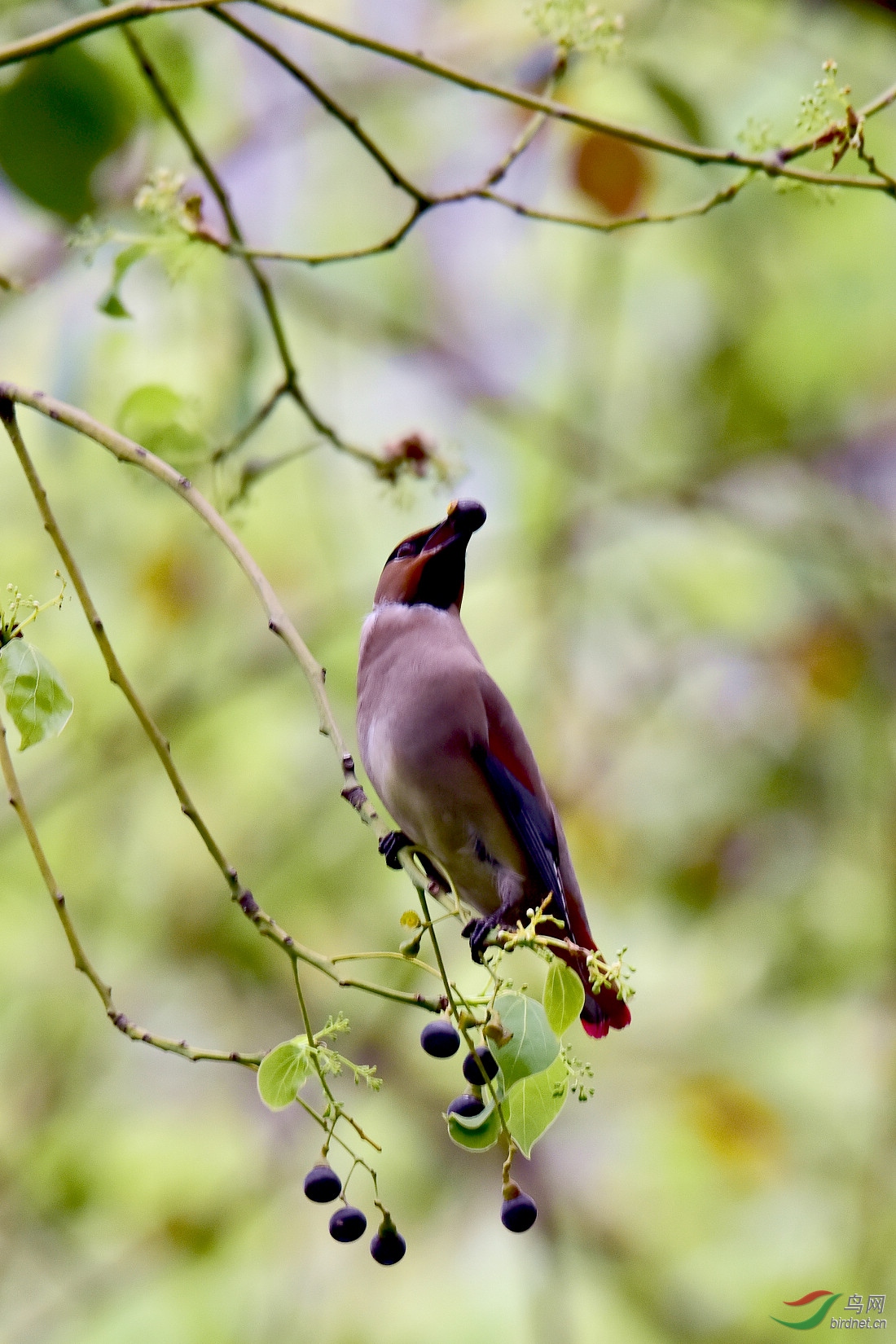 DSC_1069.JPG