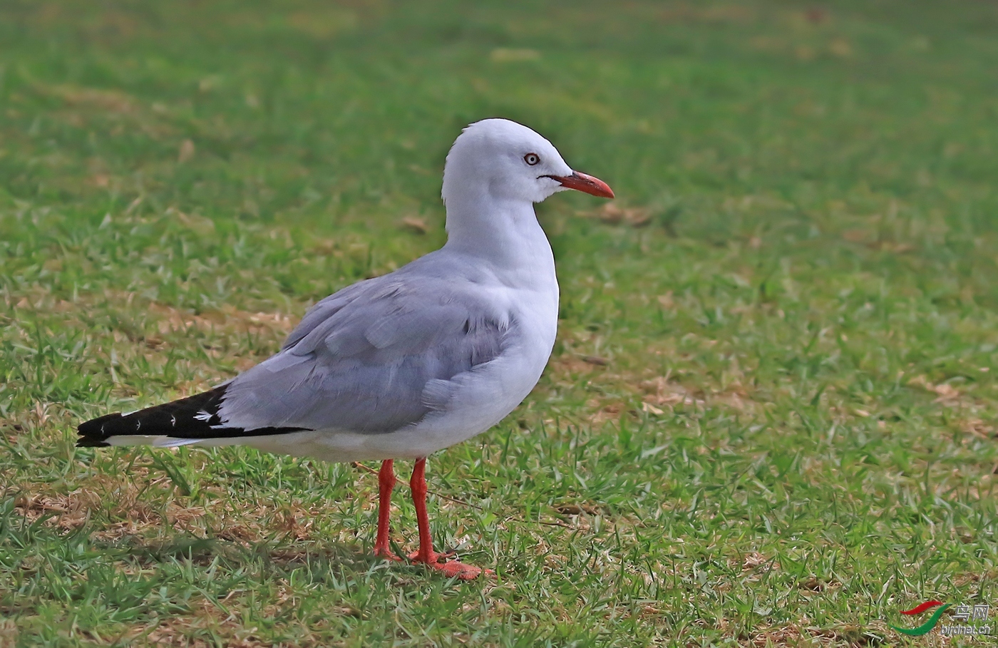 ����09 ��ʦ������̨�����̨����.jpg