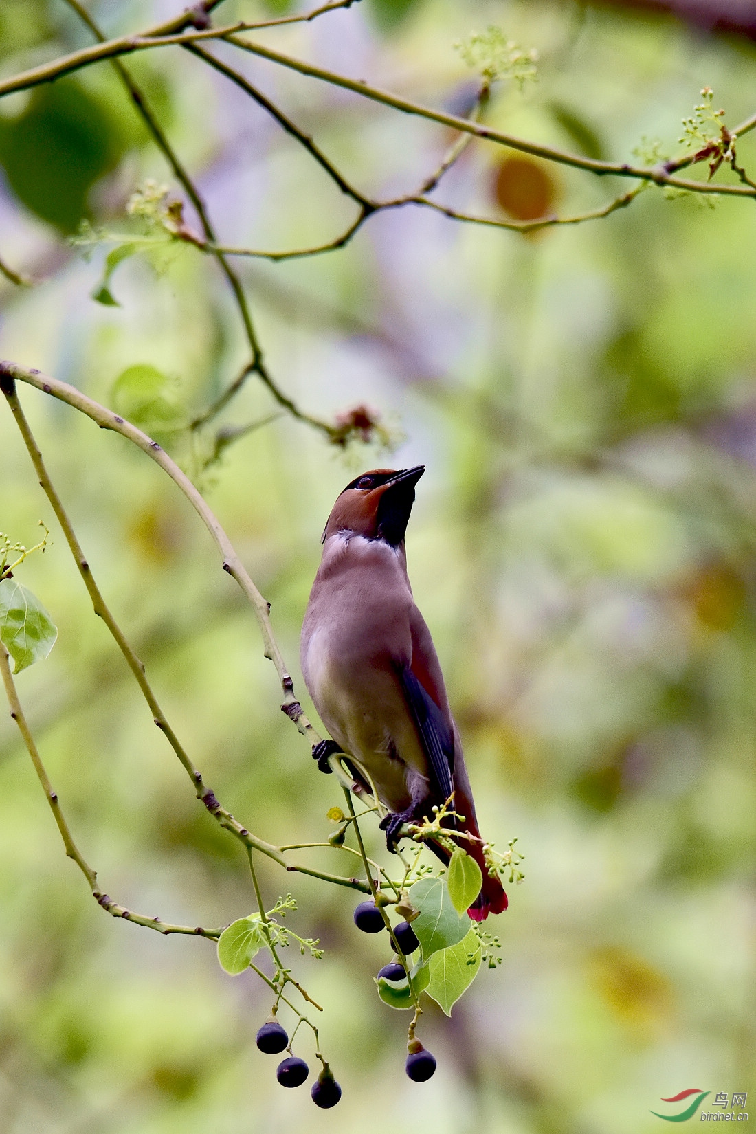 DSC_1071.JPG