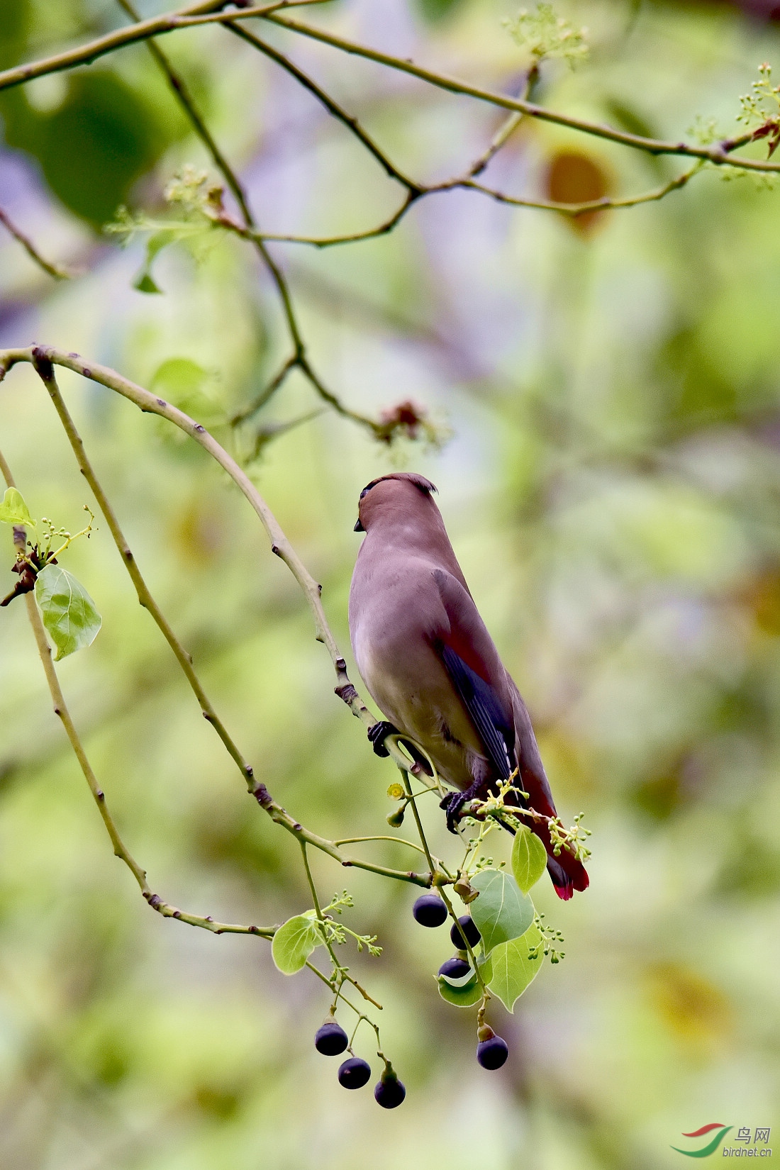 DSC_1076.JPG