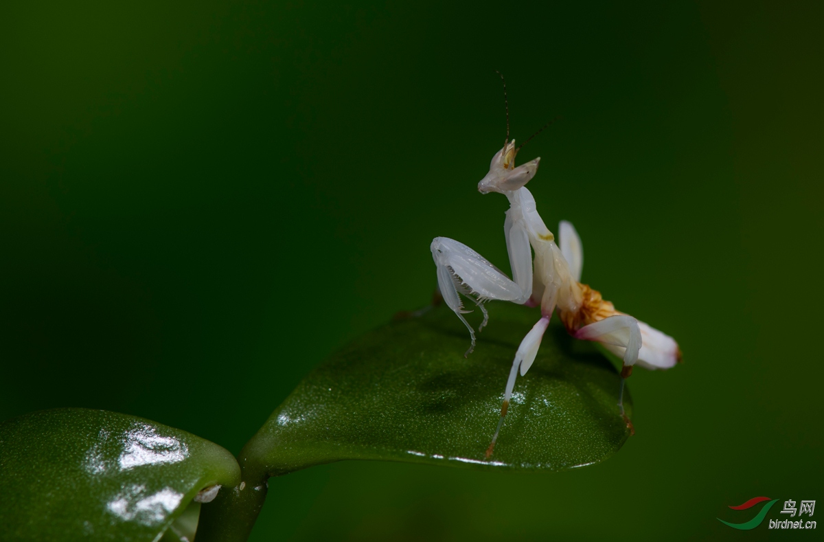 DSC_5218.jpg