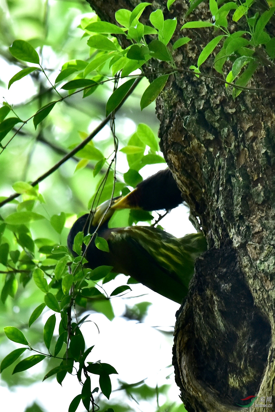 DSC_0116.JPG