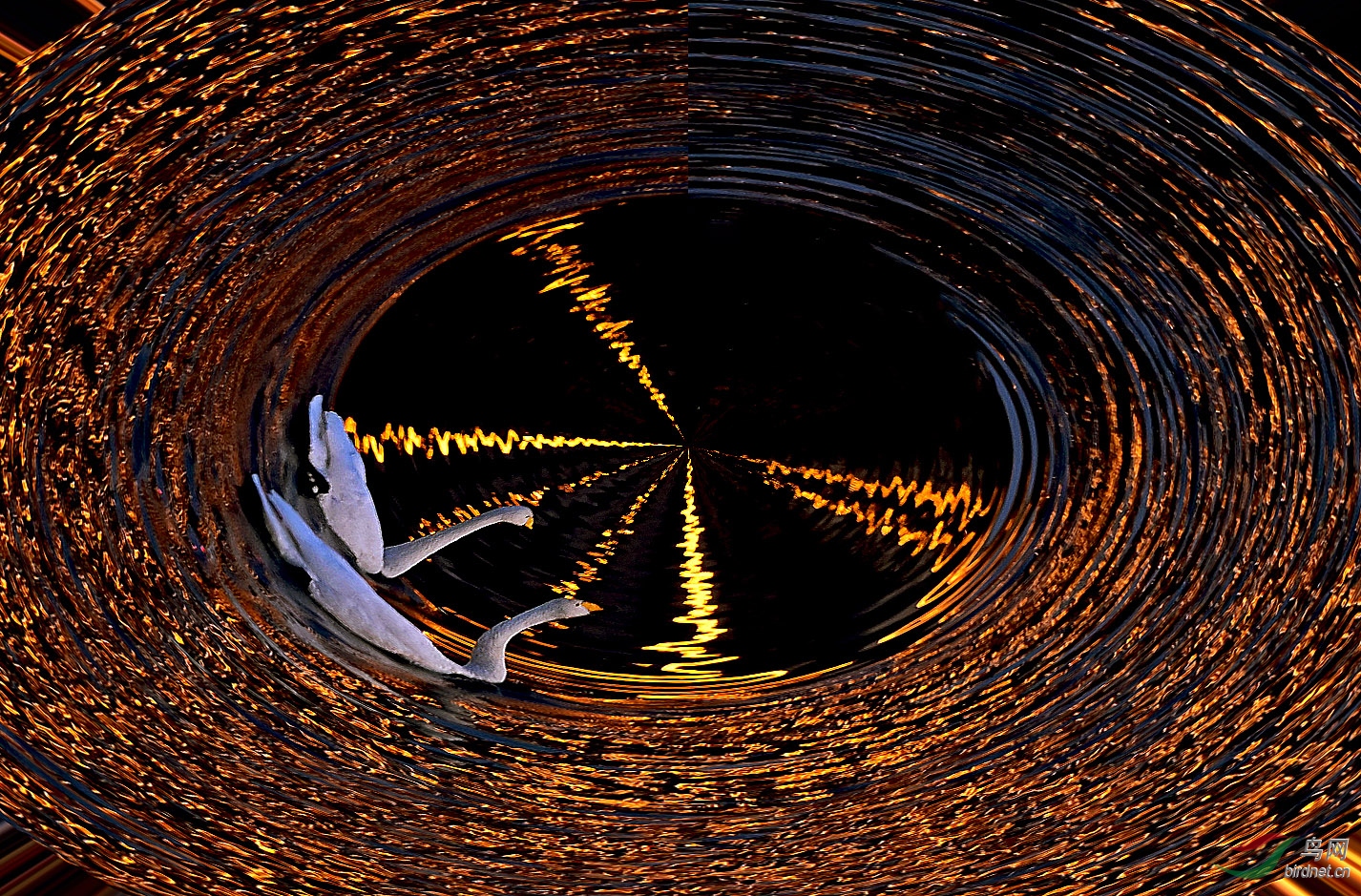 DSC_0899c.jpg