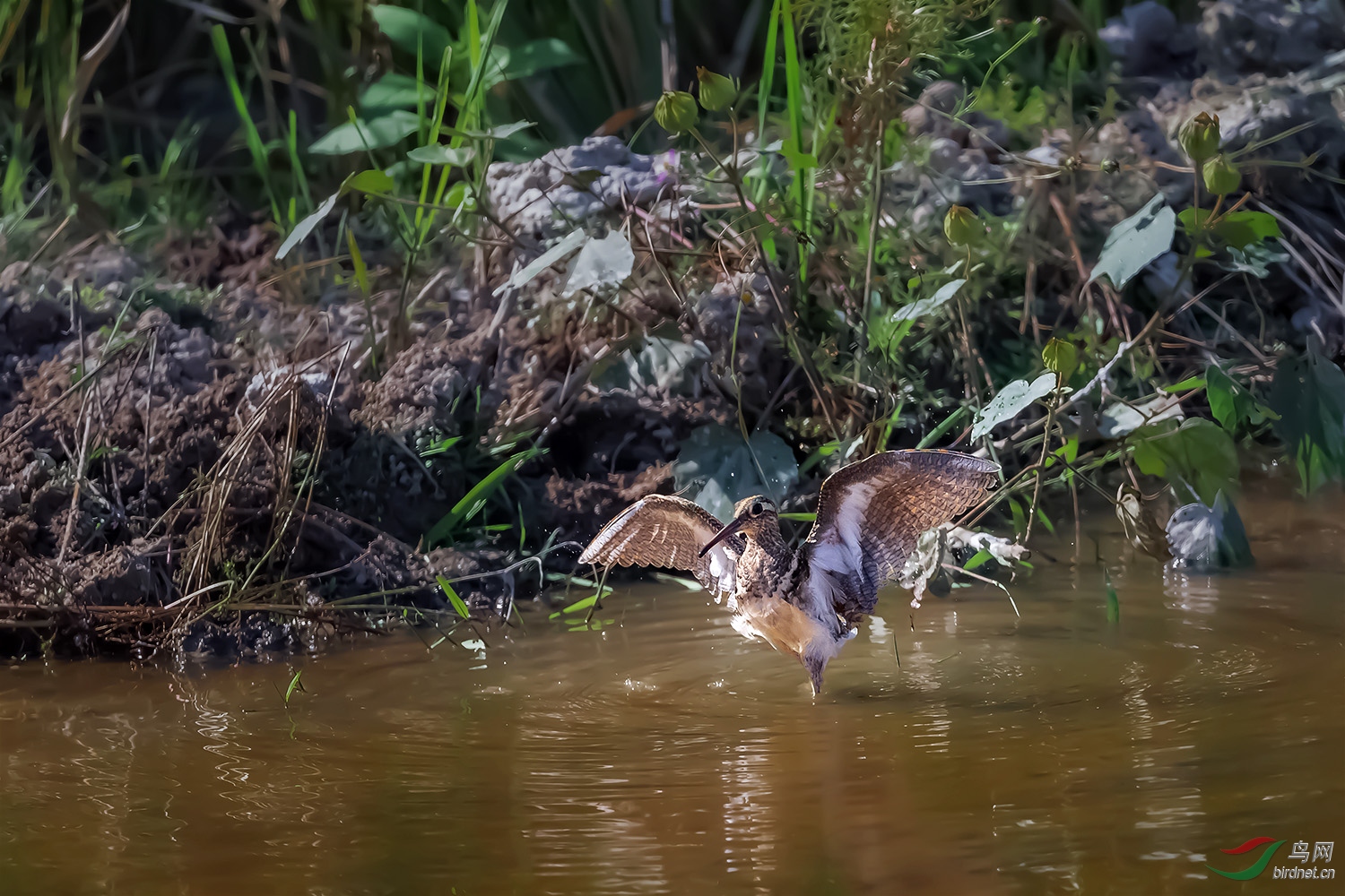DSC_8653-2.jpg