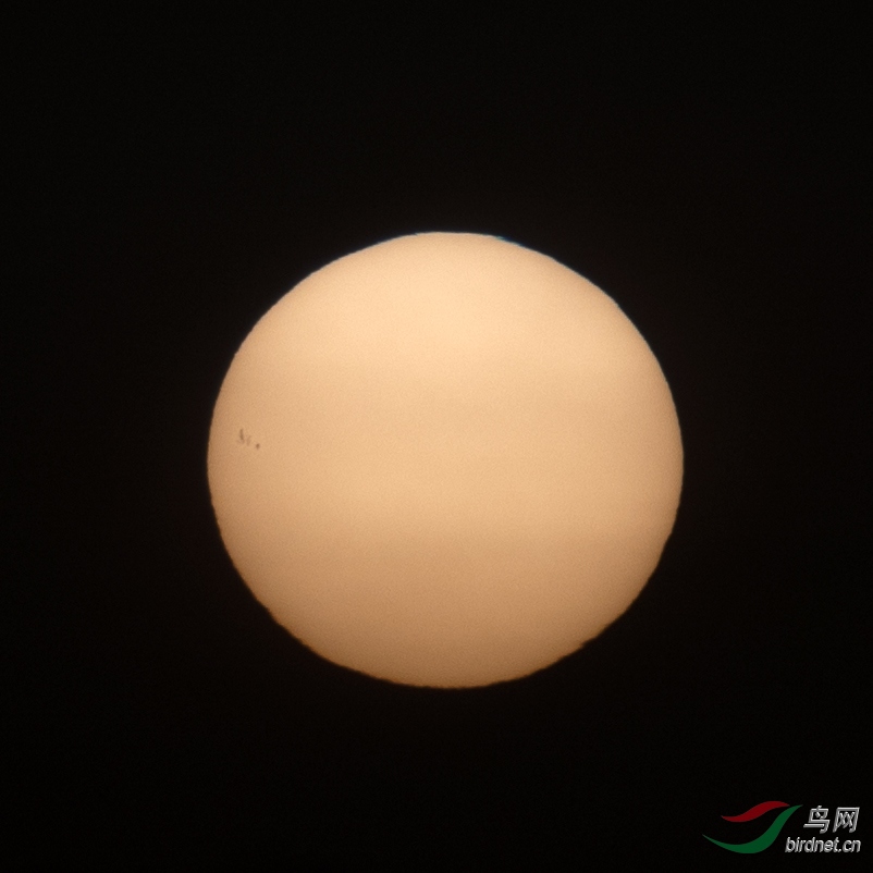 70-200+2.0����+�͵�Ĥ����̫������