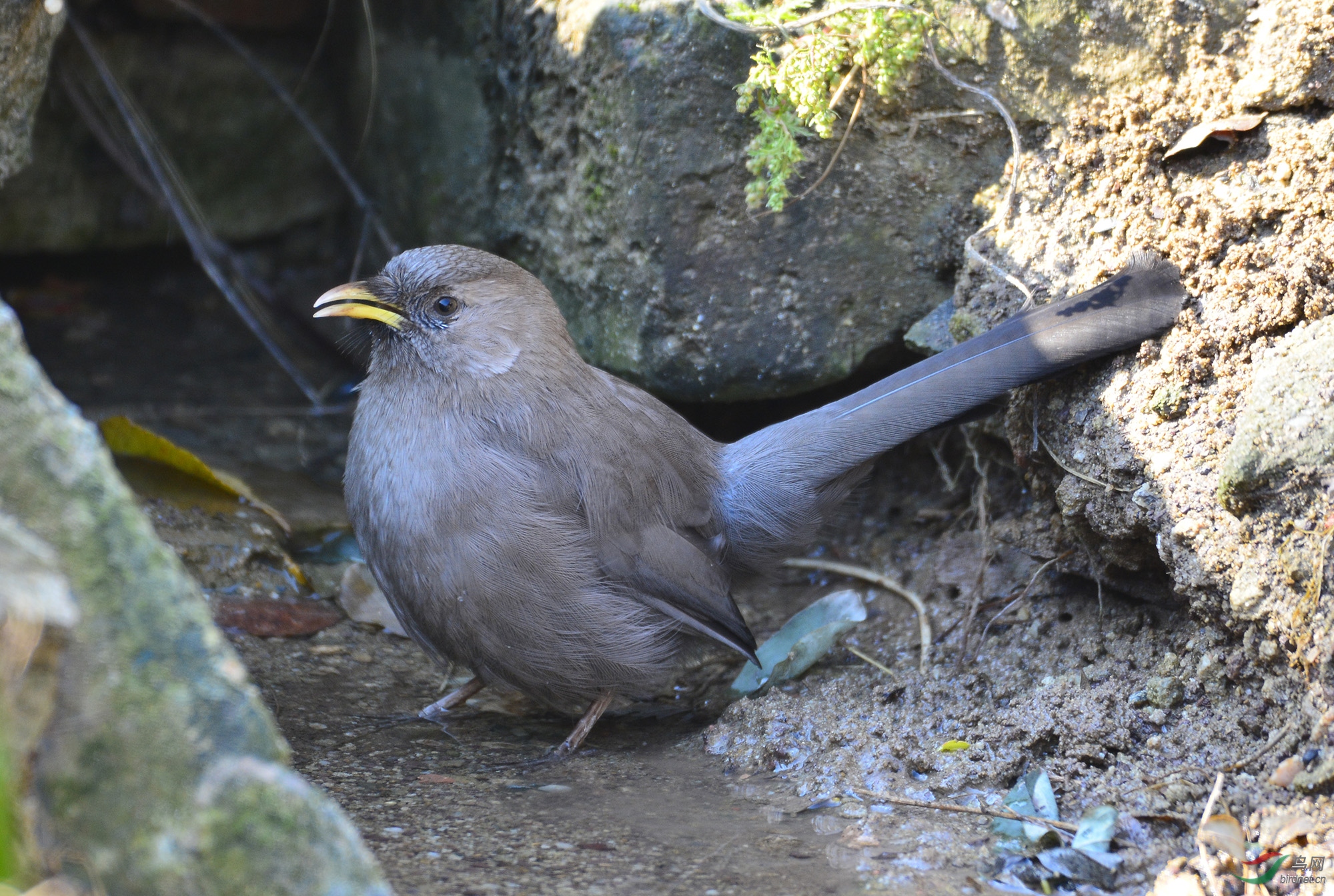 ������Ӱ 1271����.jpg