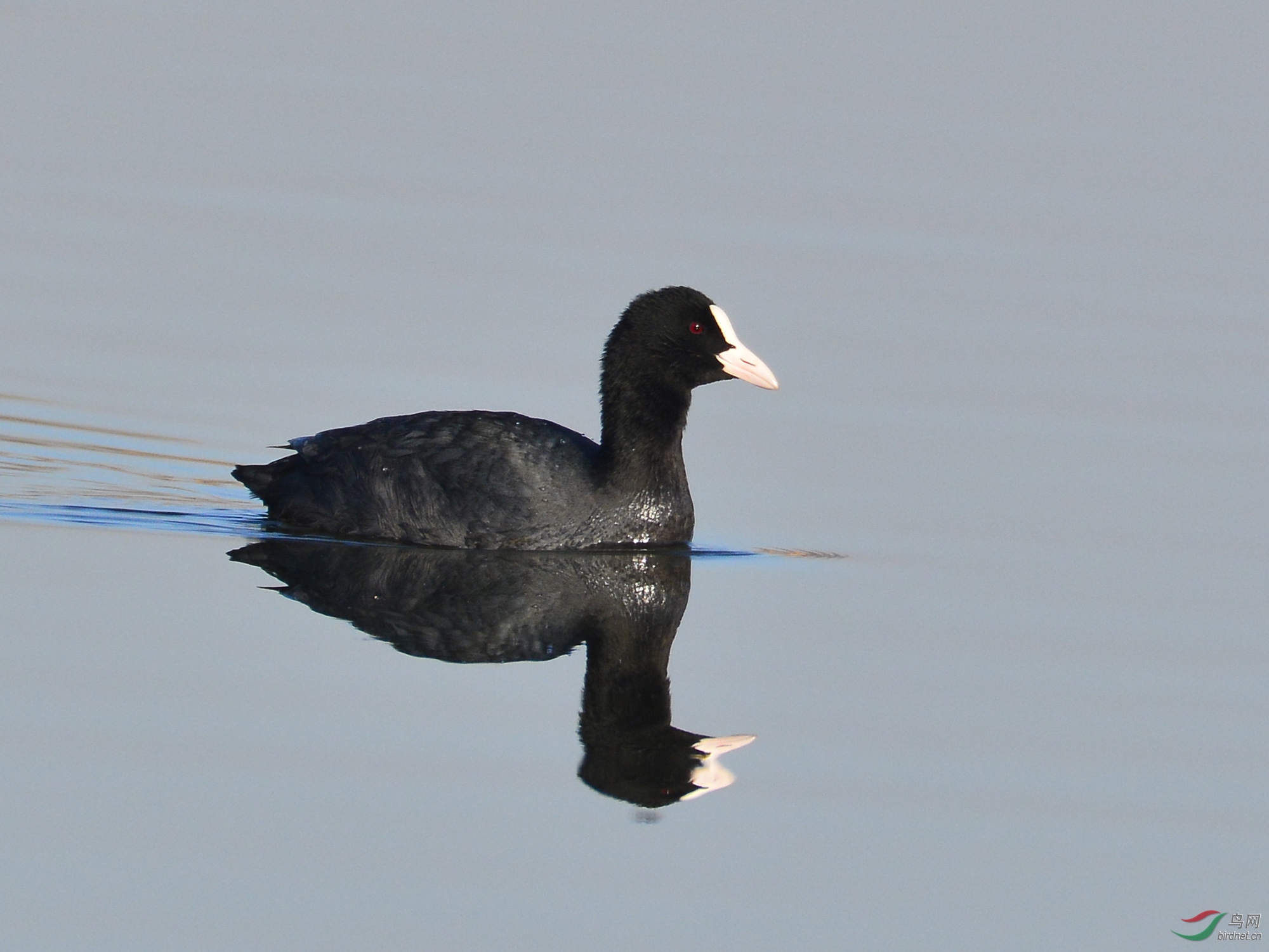 ������Ӱ 100����.jpg