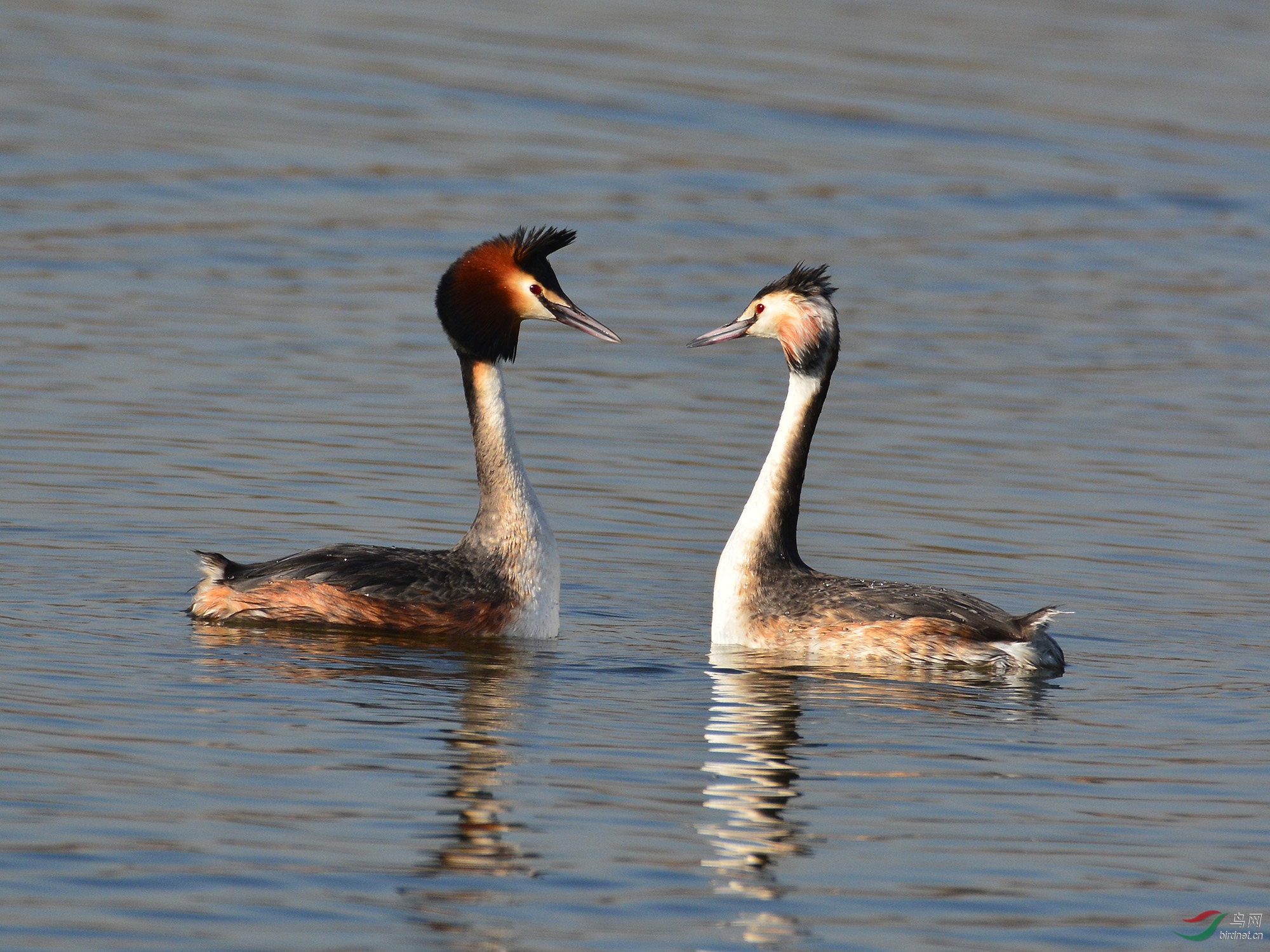 ������Ӱ 543����.jpg