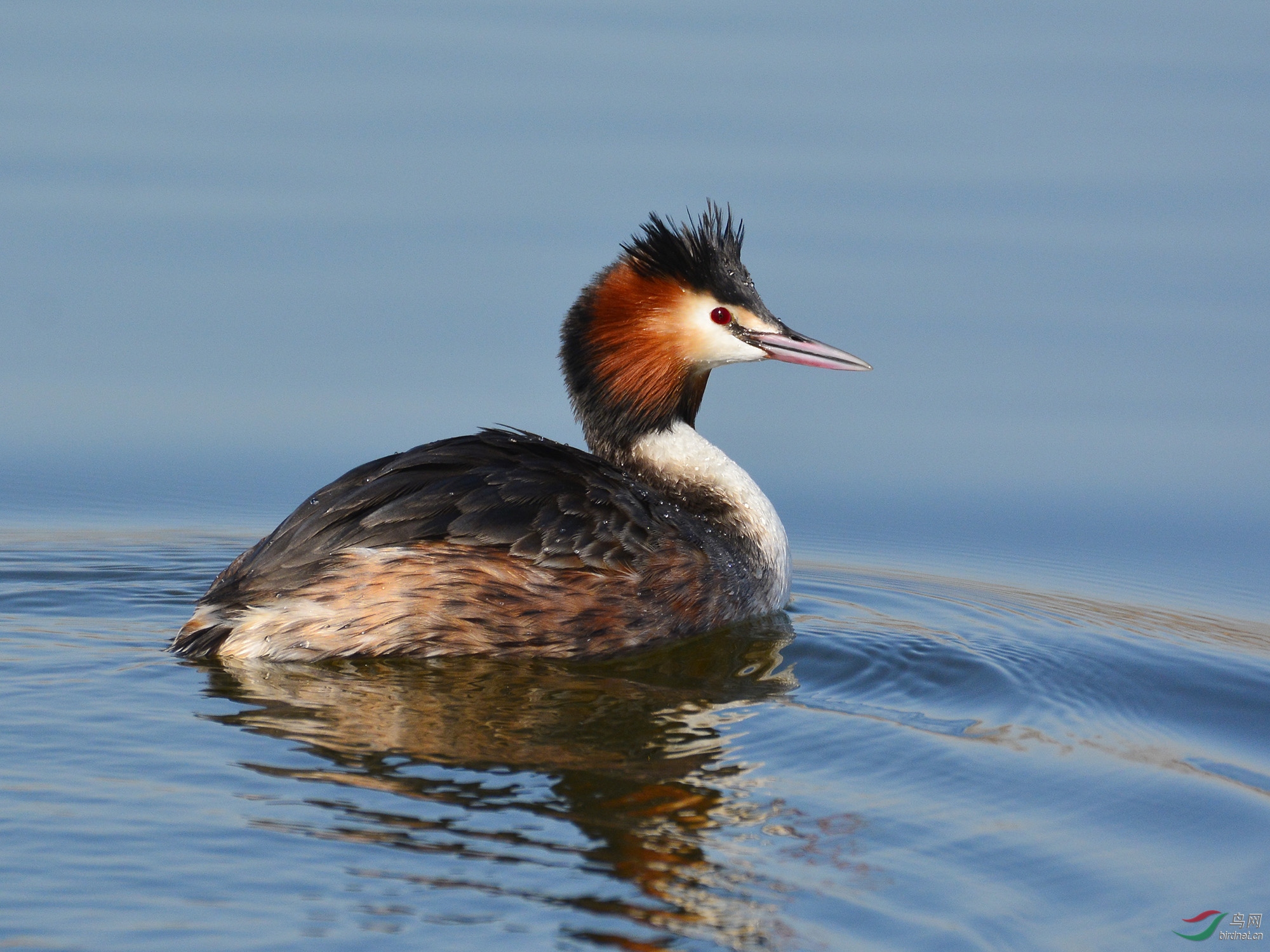 ������Ӱ 819����.jpg