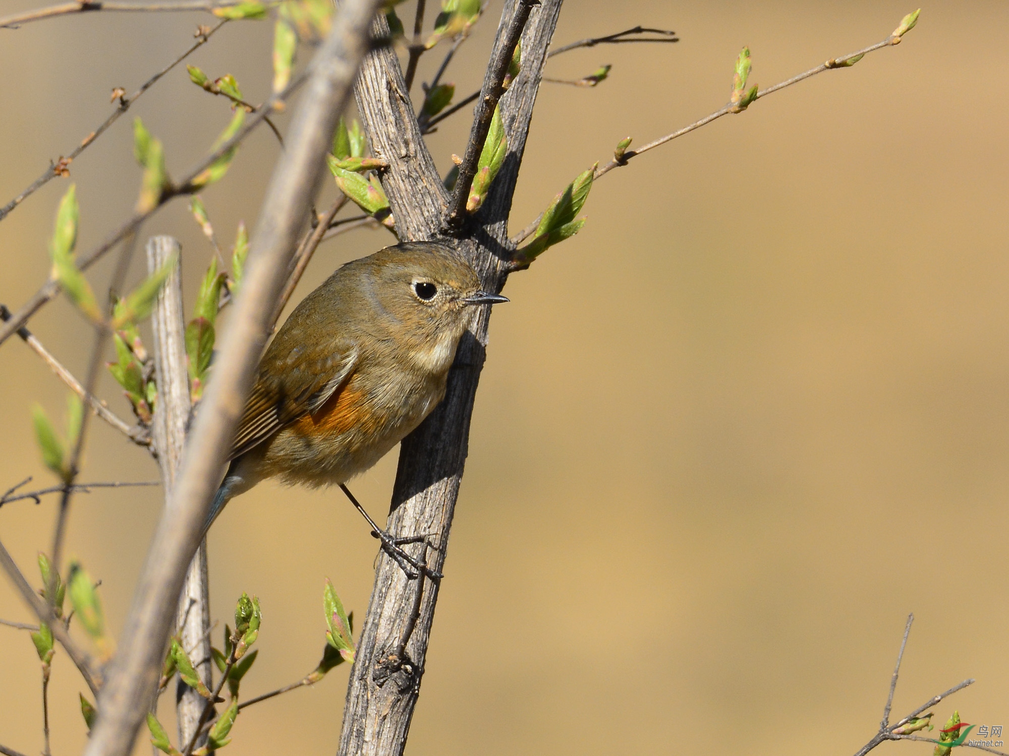 ������Ӱ 504����.jpg