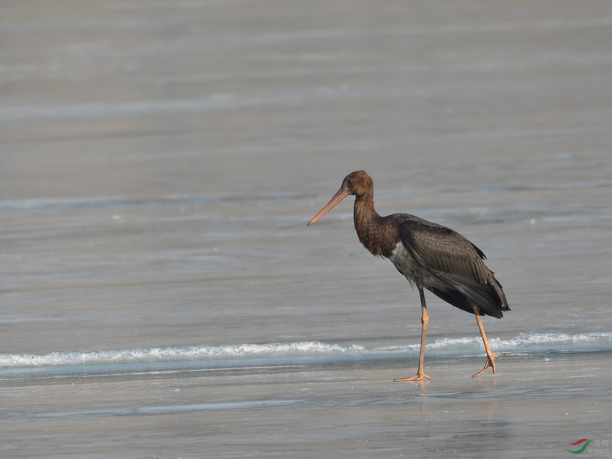 ������Ӱ 2335����.jpg