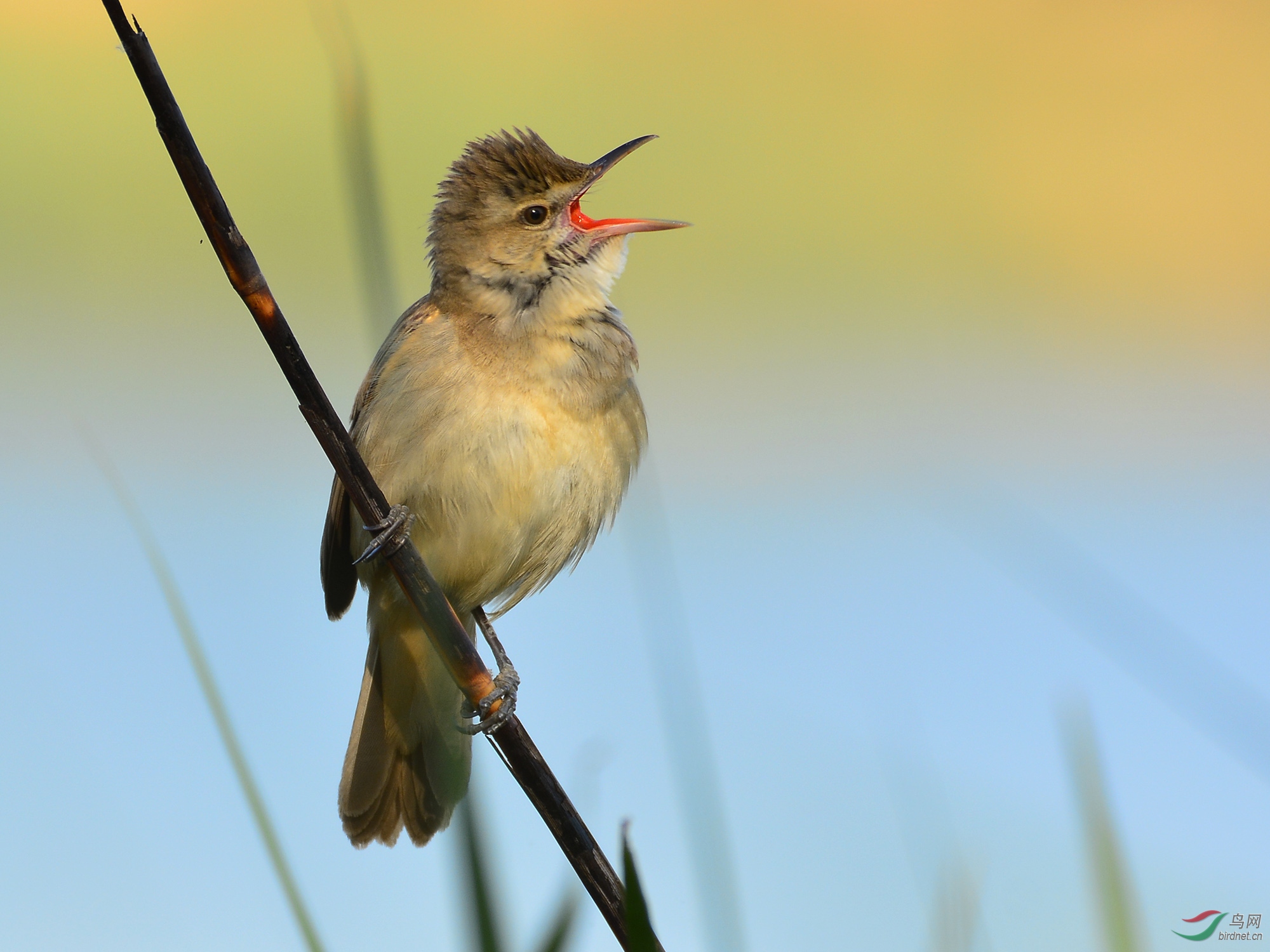 ������Ӱ 176����.jpg