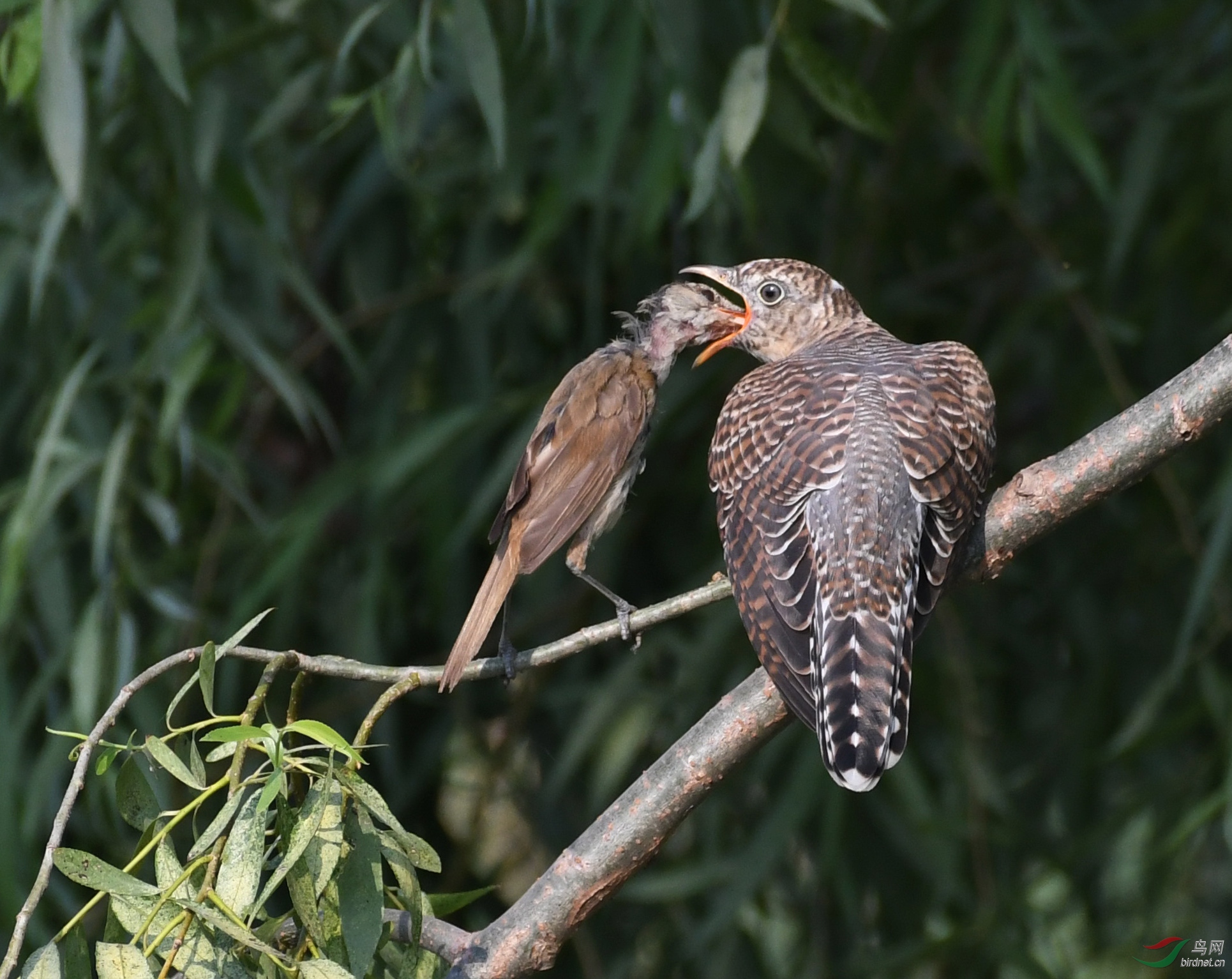 ������Ӱ 362����.jpg