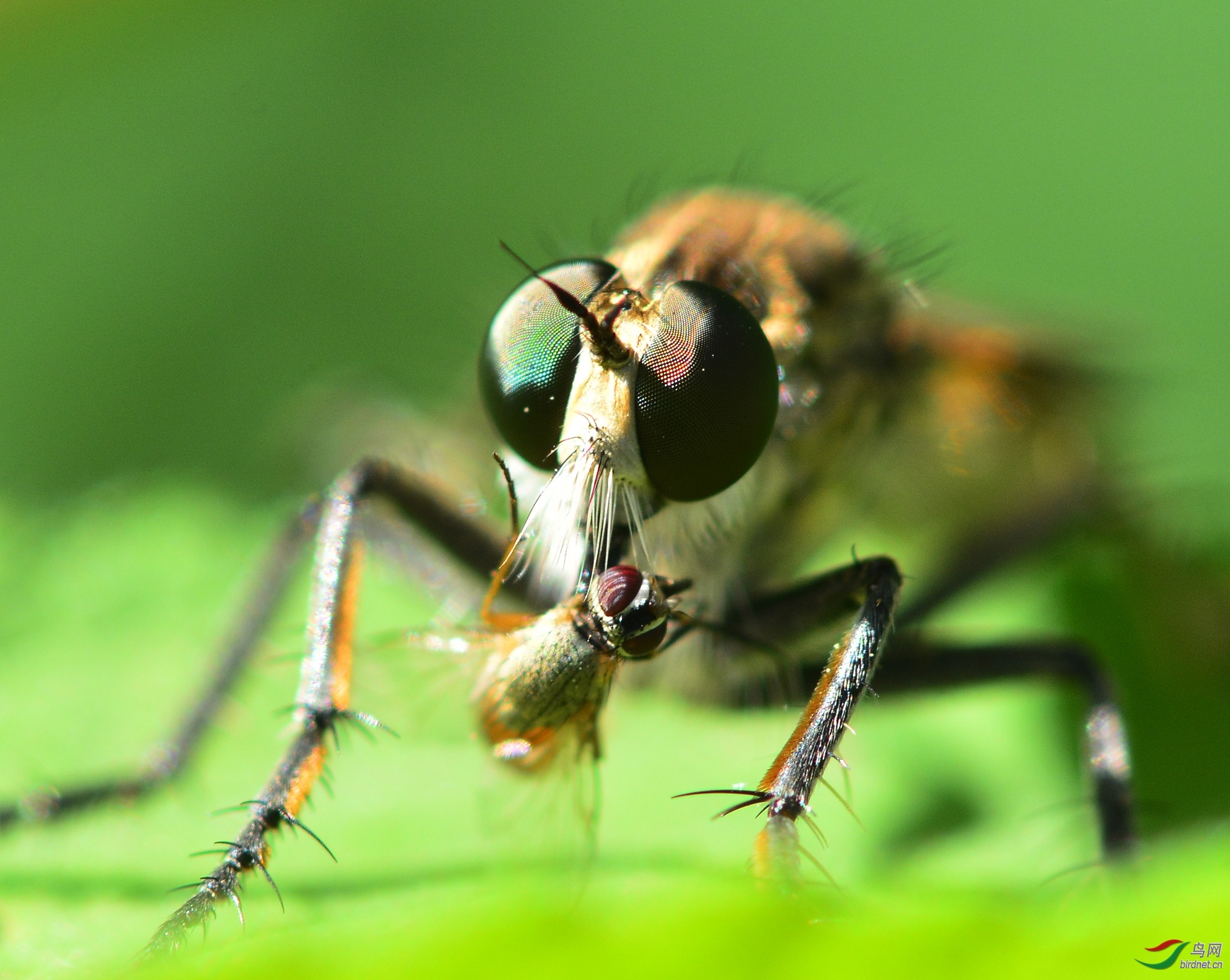 ������Ӱ 248����.jpg