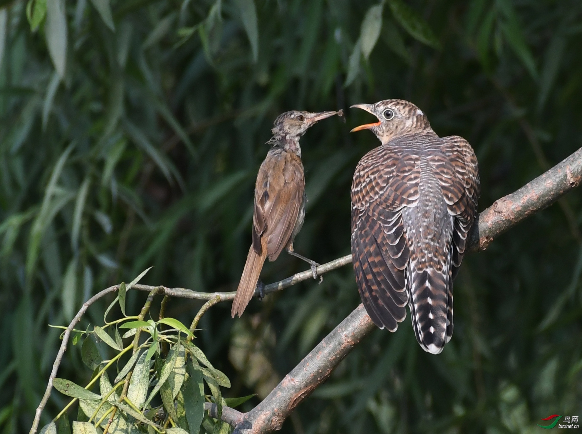 ������Ӱ 364����.jpg