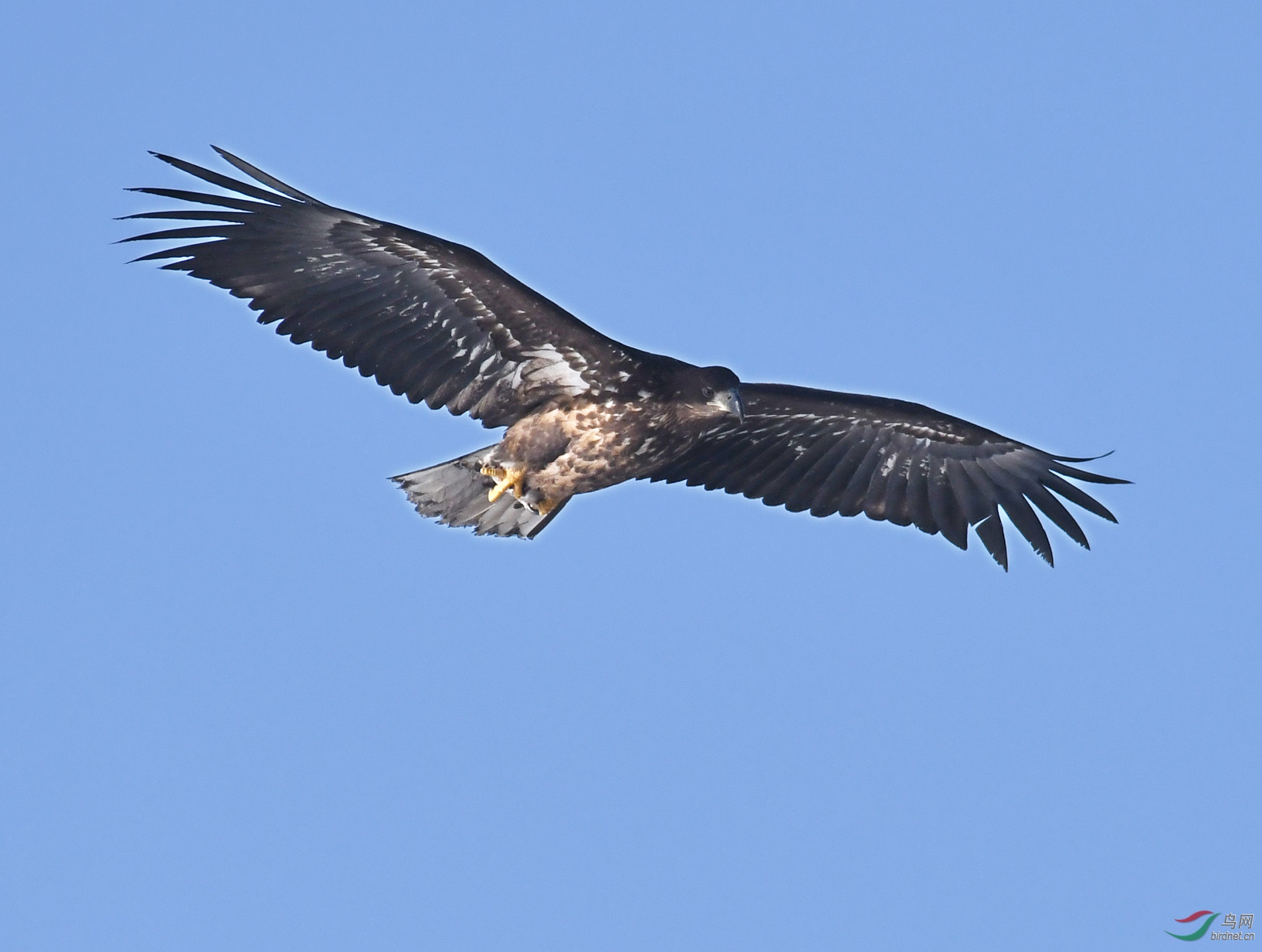 ������Ӱ 062����.jpg