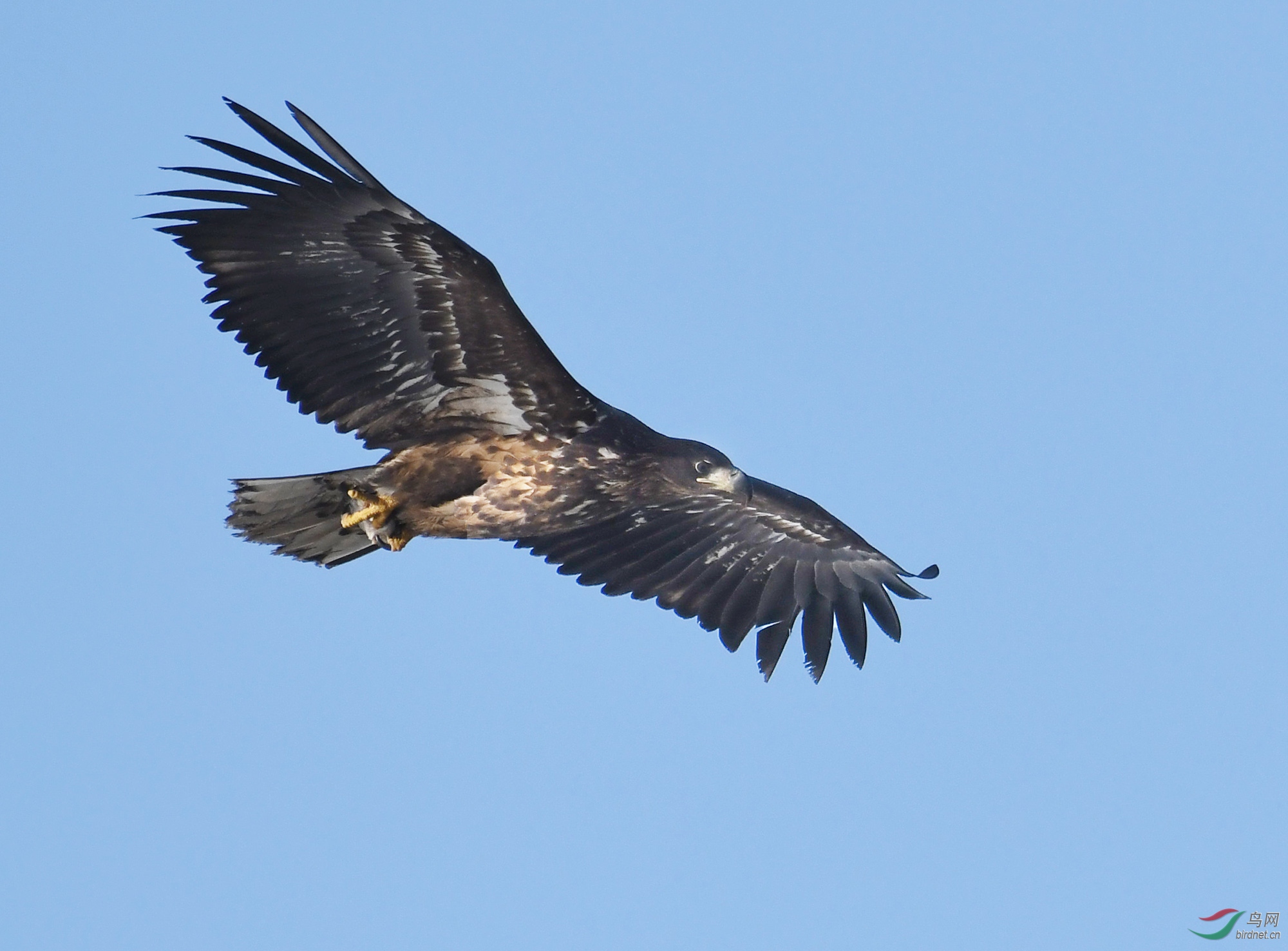 ������Ӱ 067����.jpg