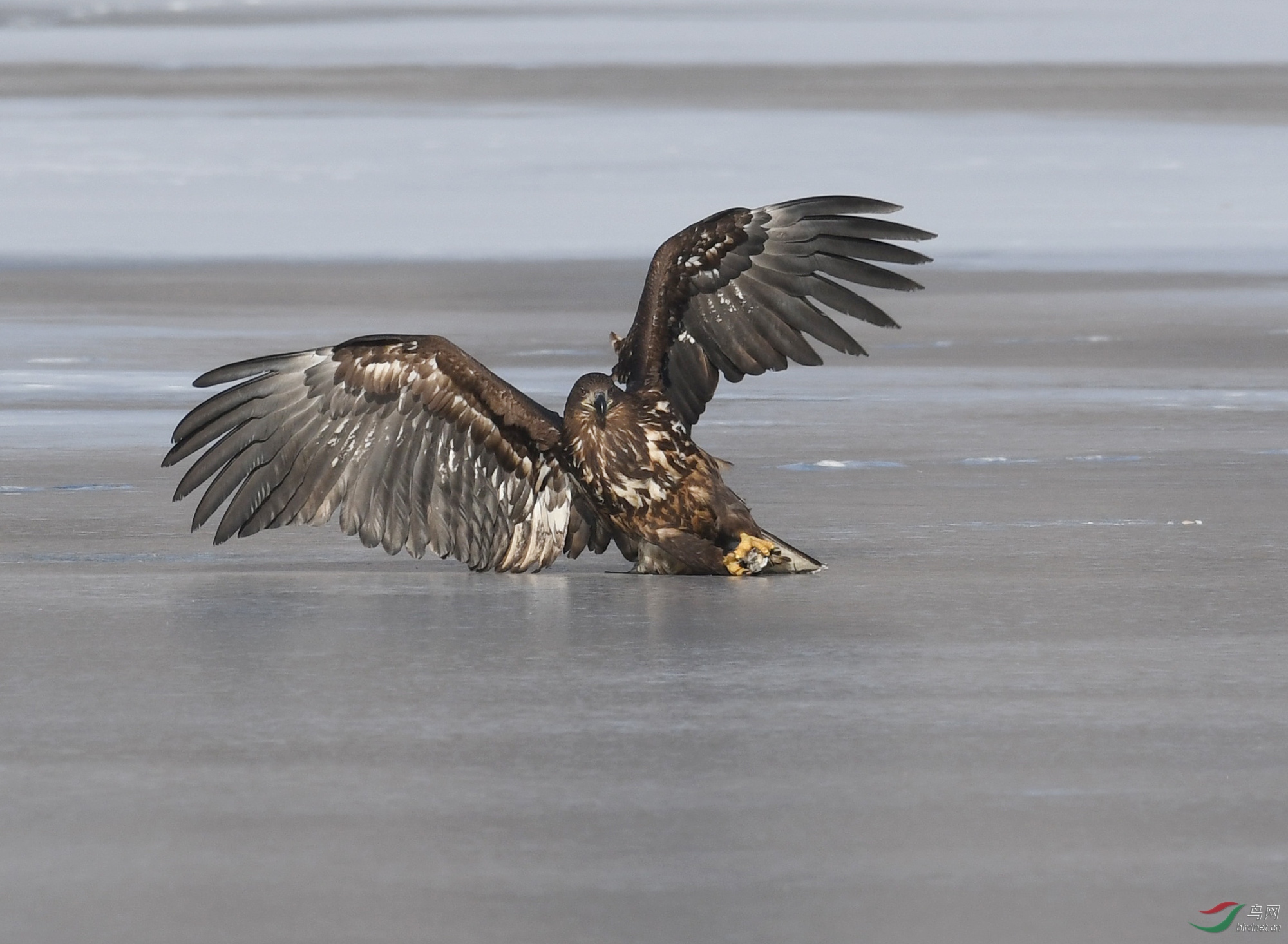 ������Ӱ 233����.jpg