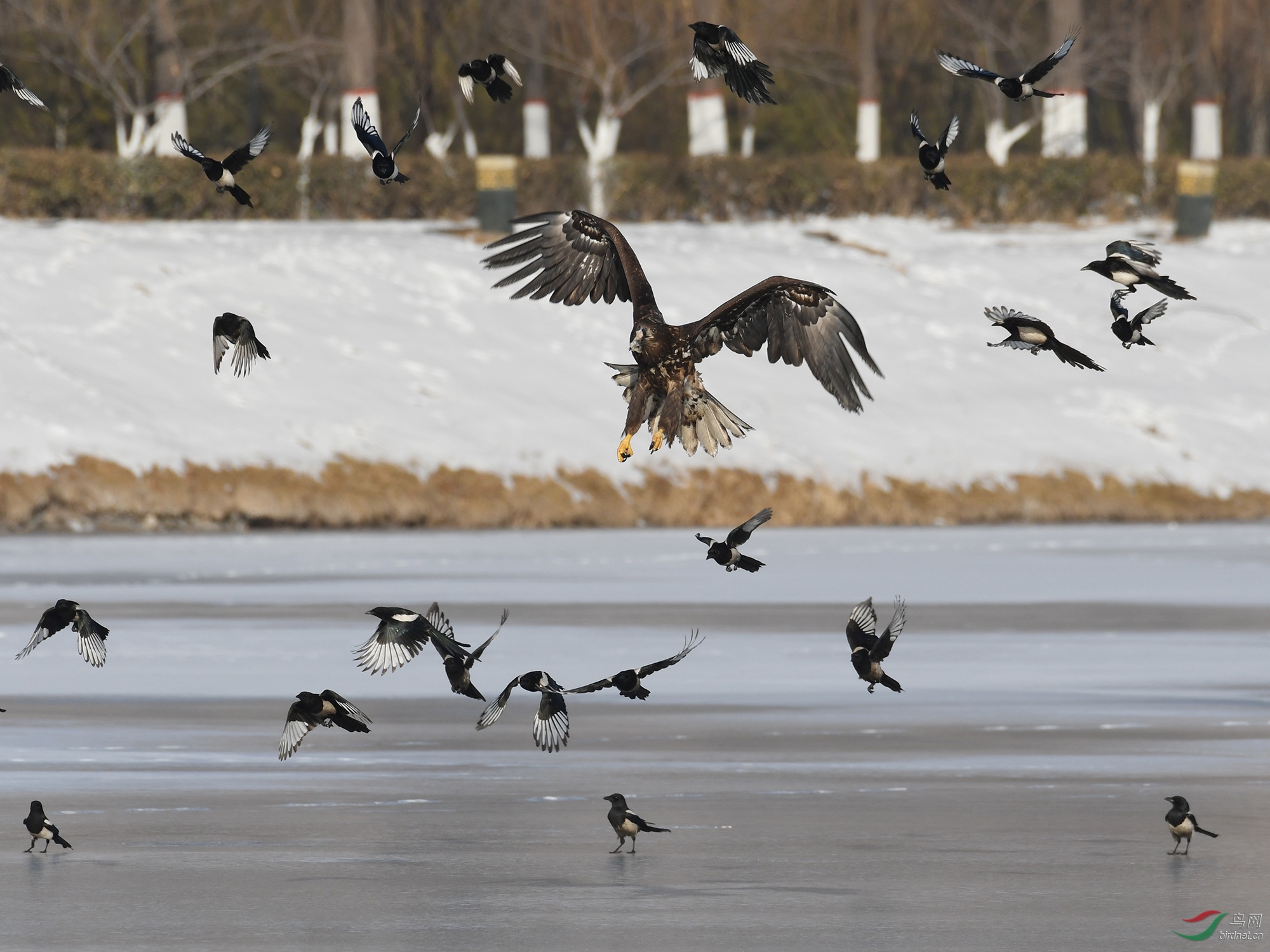 ������Ӱ 327����.jpg