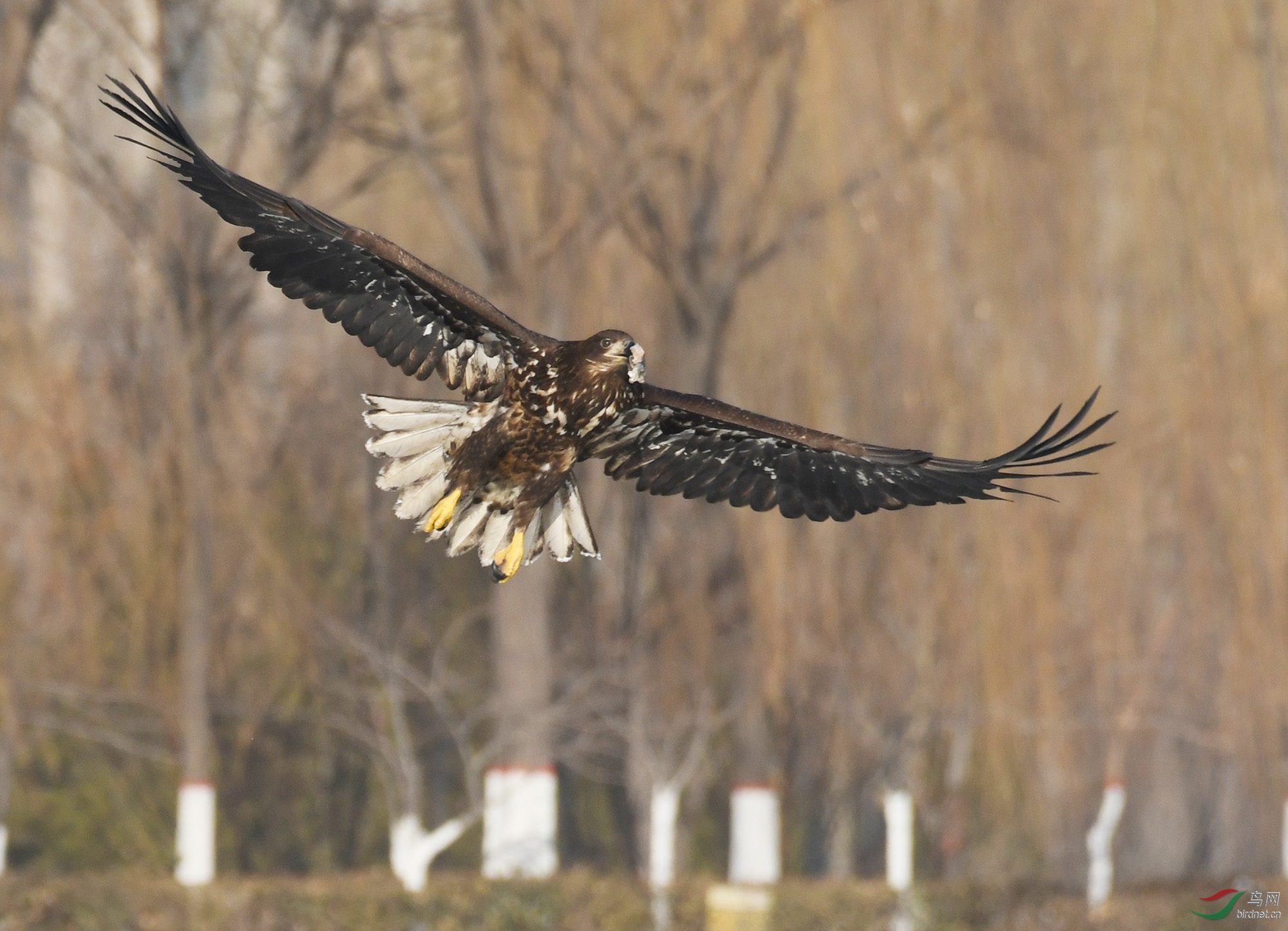 ������Ӱ 331����.jpg