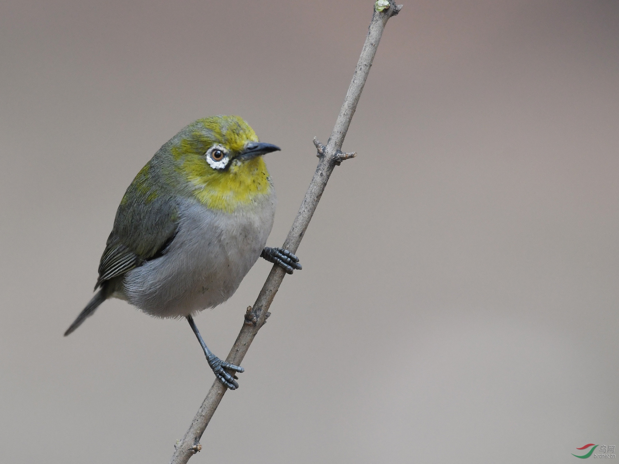 ������Ӱ 397����.jpg