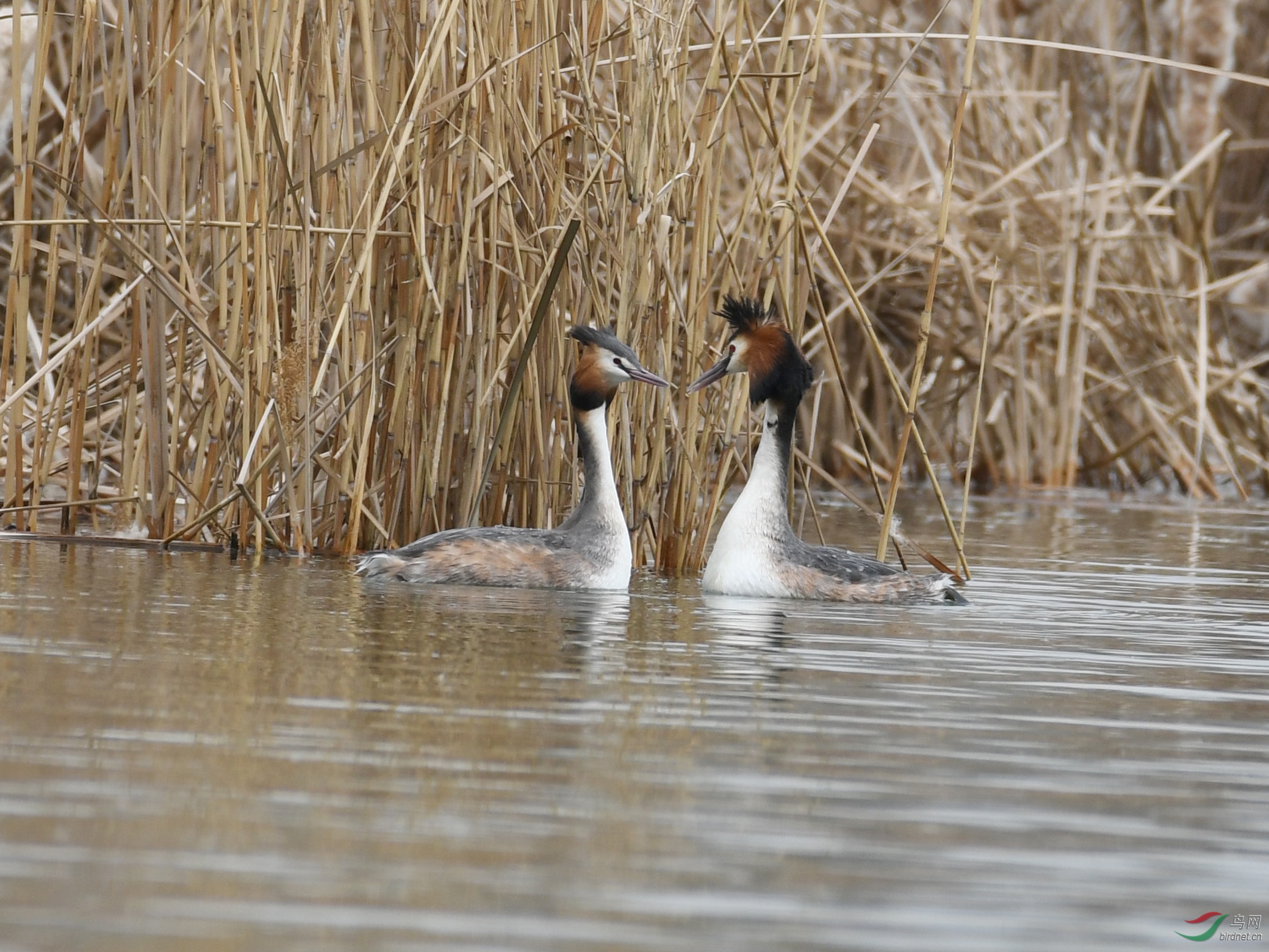 ������Ӱ 027����.jpg