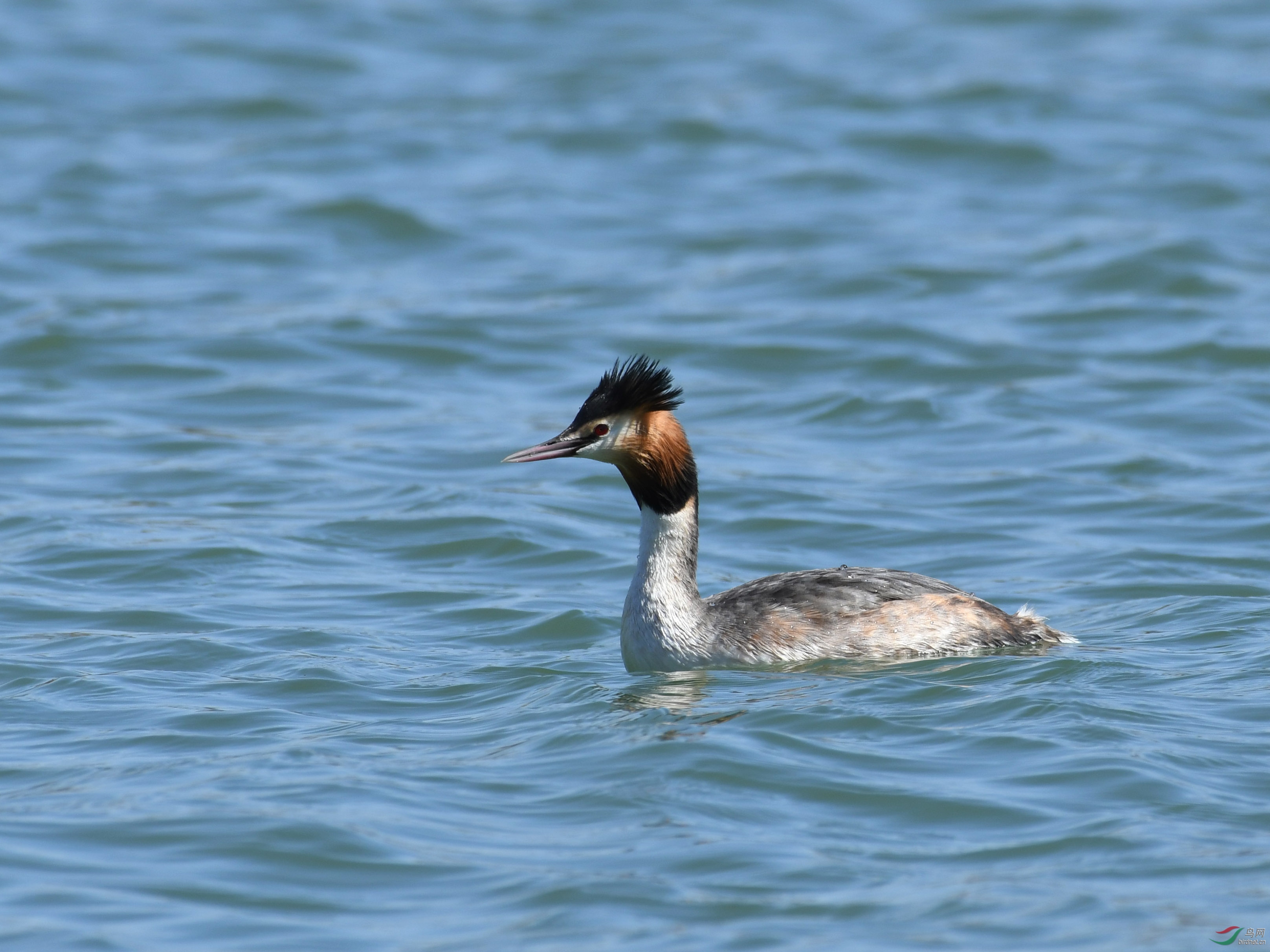 ������Ӱ 073����.jpg