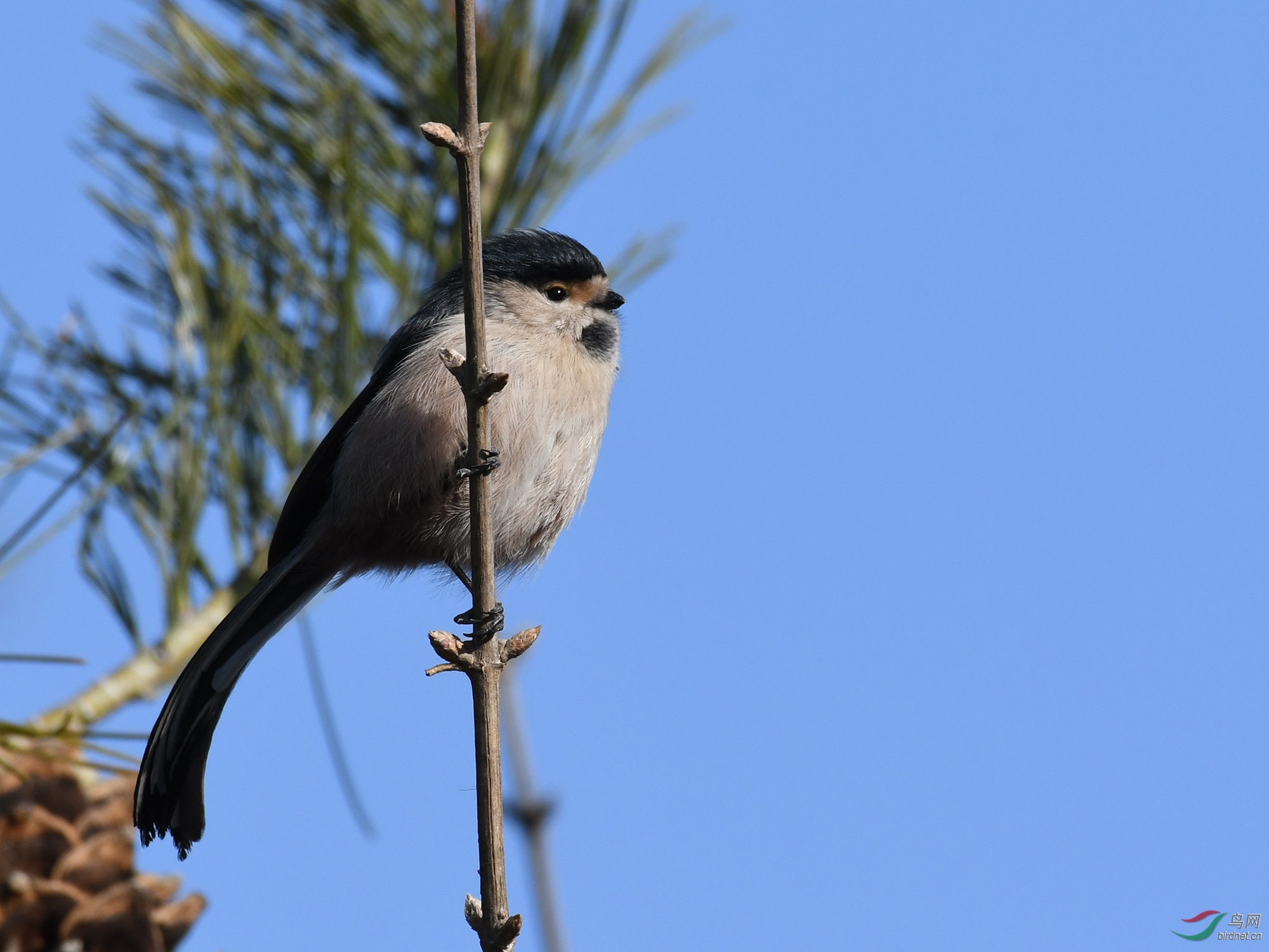 ������Ӱ 238����.jpg