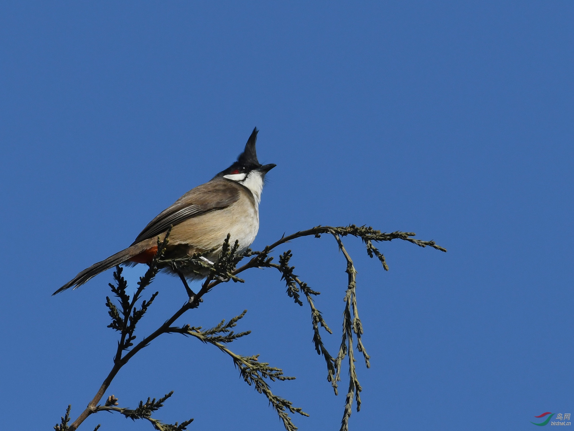 ������Ӱ 473����.jpg