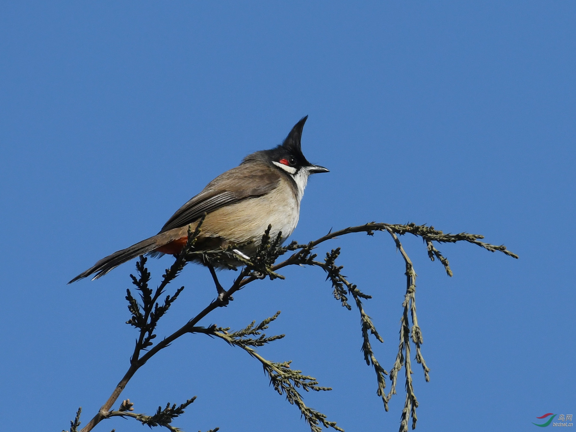 ������Ӱ 477����.jpg