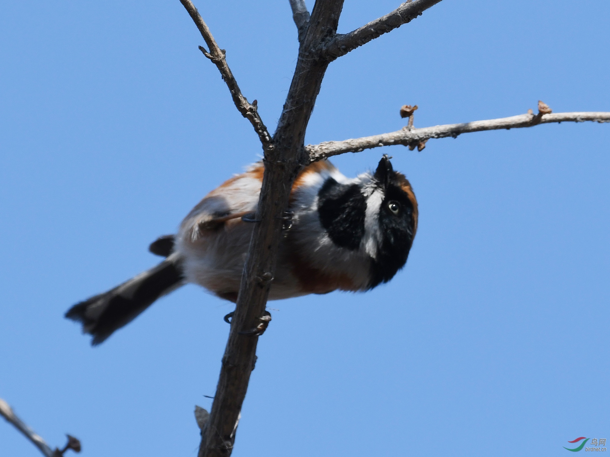 ������Ӱ 1170����.jpg