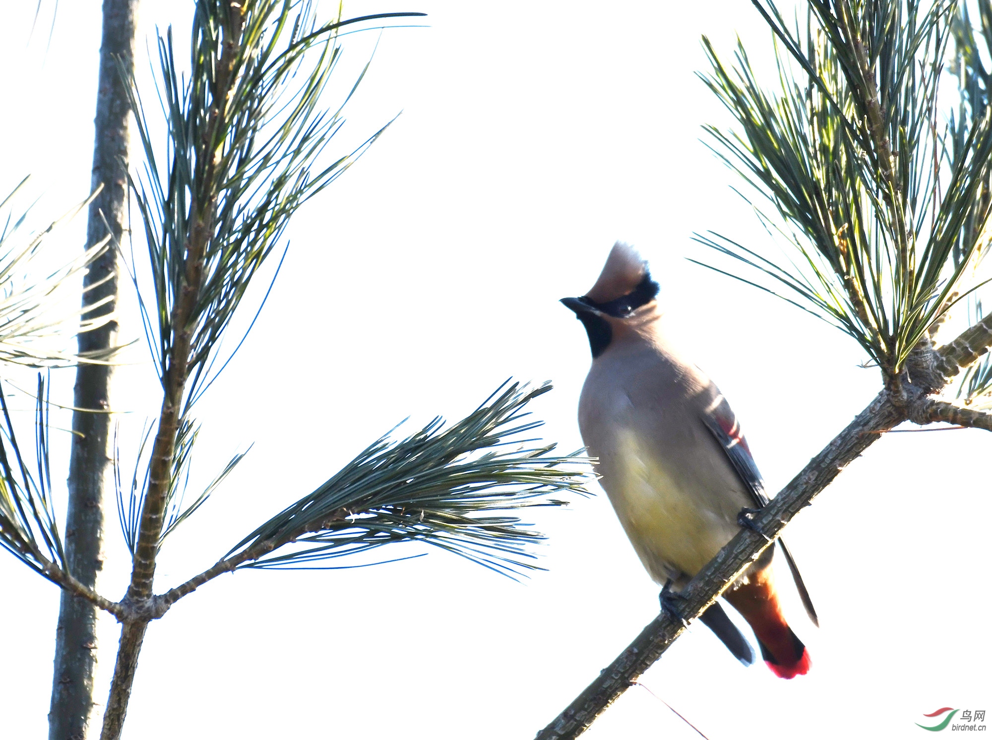 ������Ӱ 163����.jpg