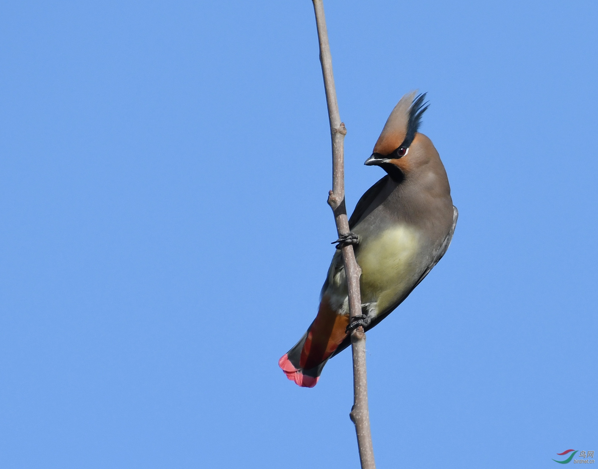 ������Ӱ 288����.jpg