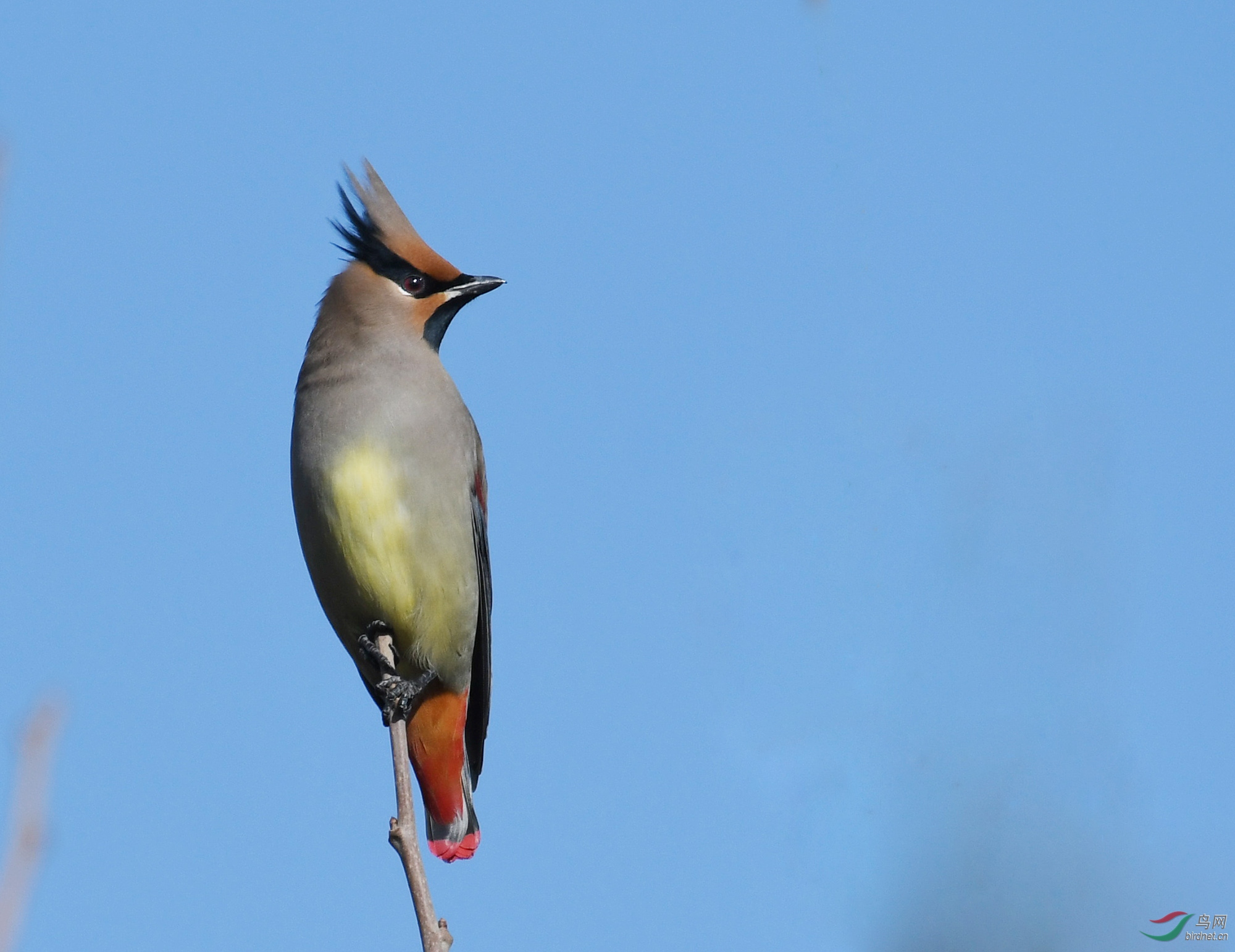 ������Ӱ 325����.jpg