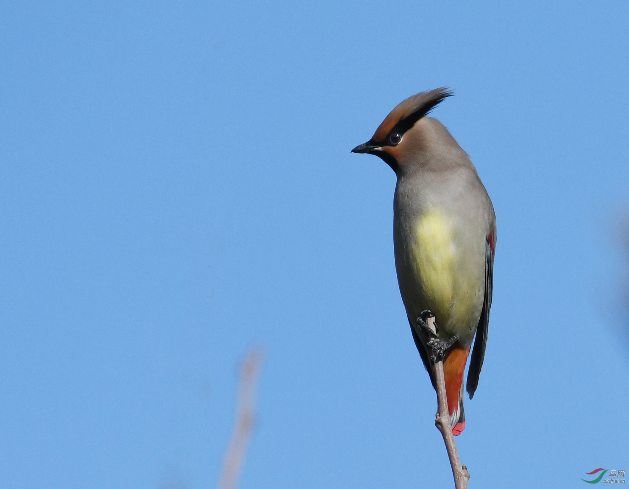 ������Ӱ 346����.jpg