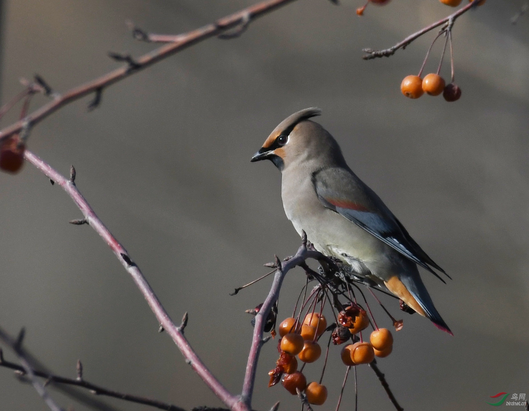 ������Ӱ 424����.jpg