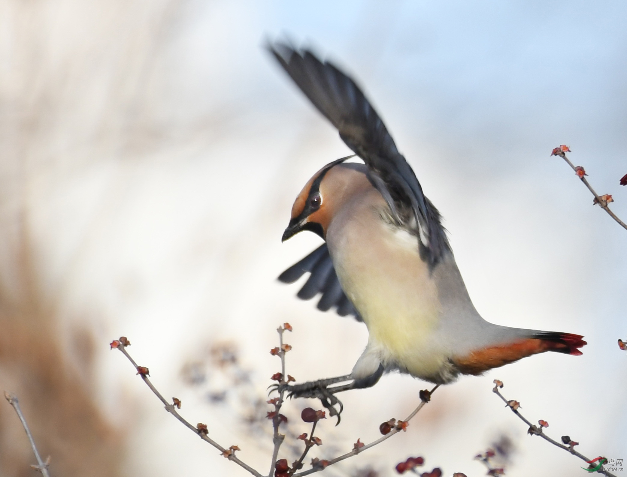 ������Ӱ 957����.jpg