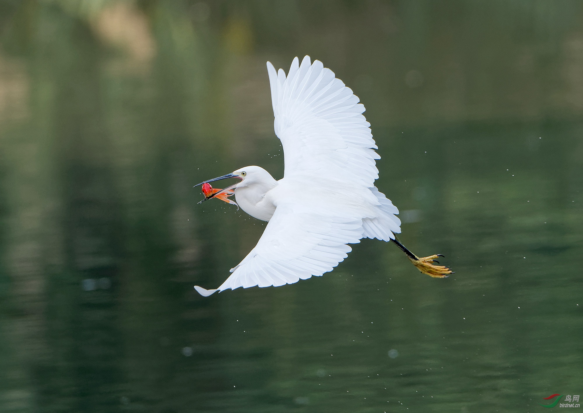 DSC_0648.jpg