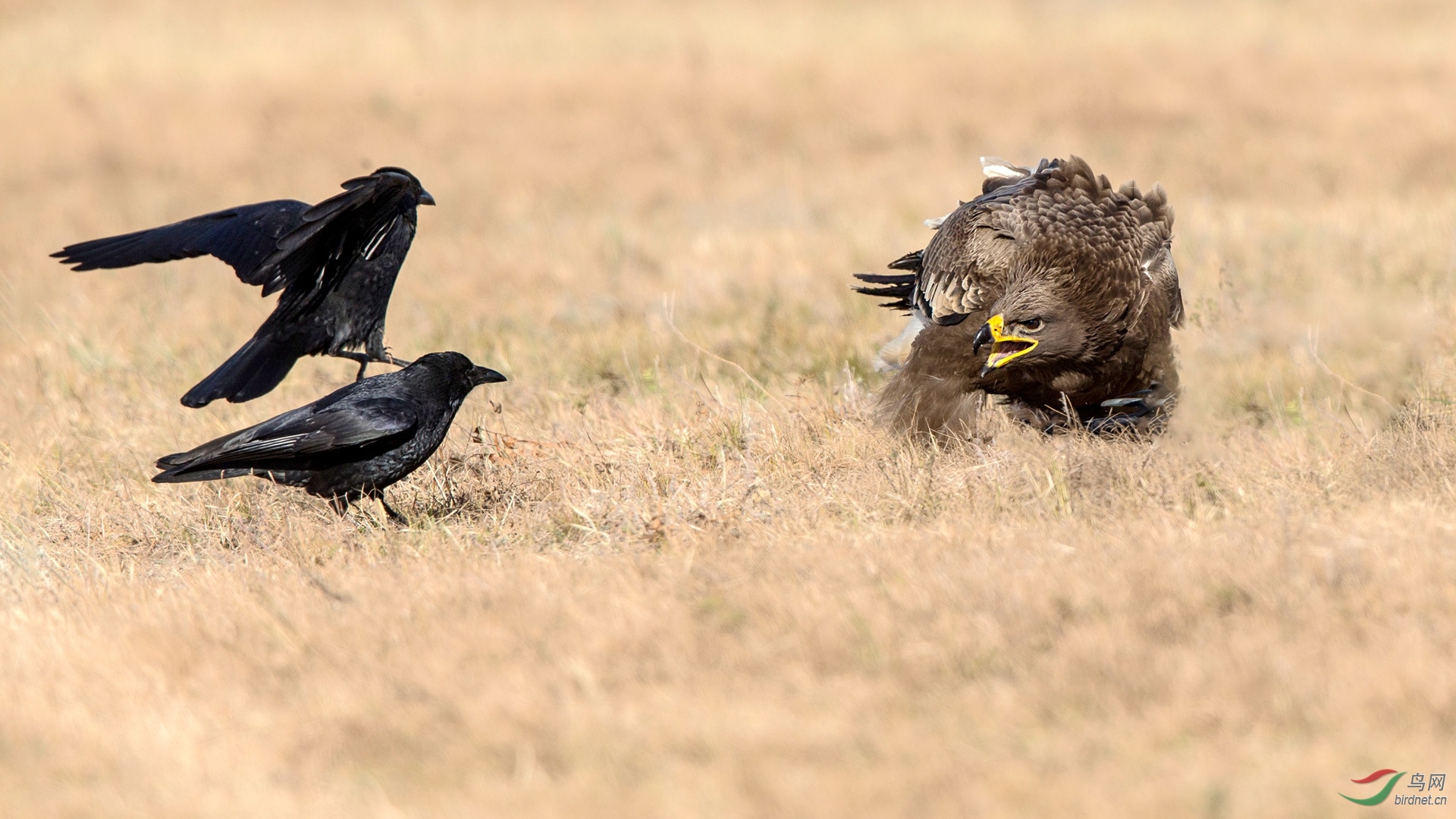 BW4Q1757 - ����.jpg