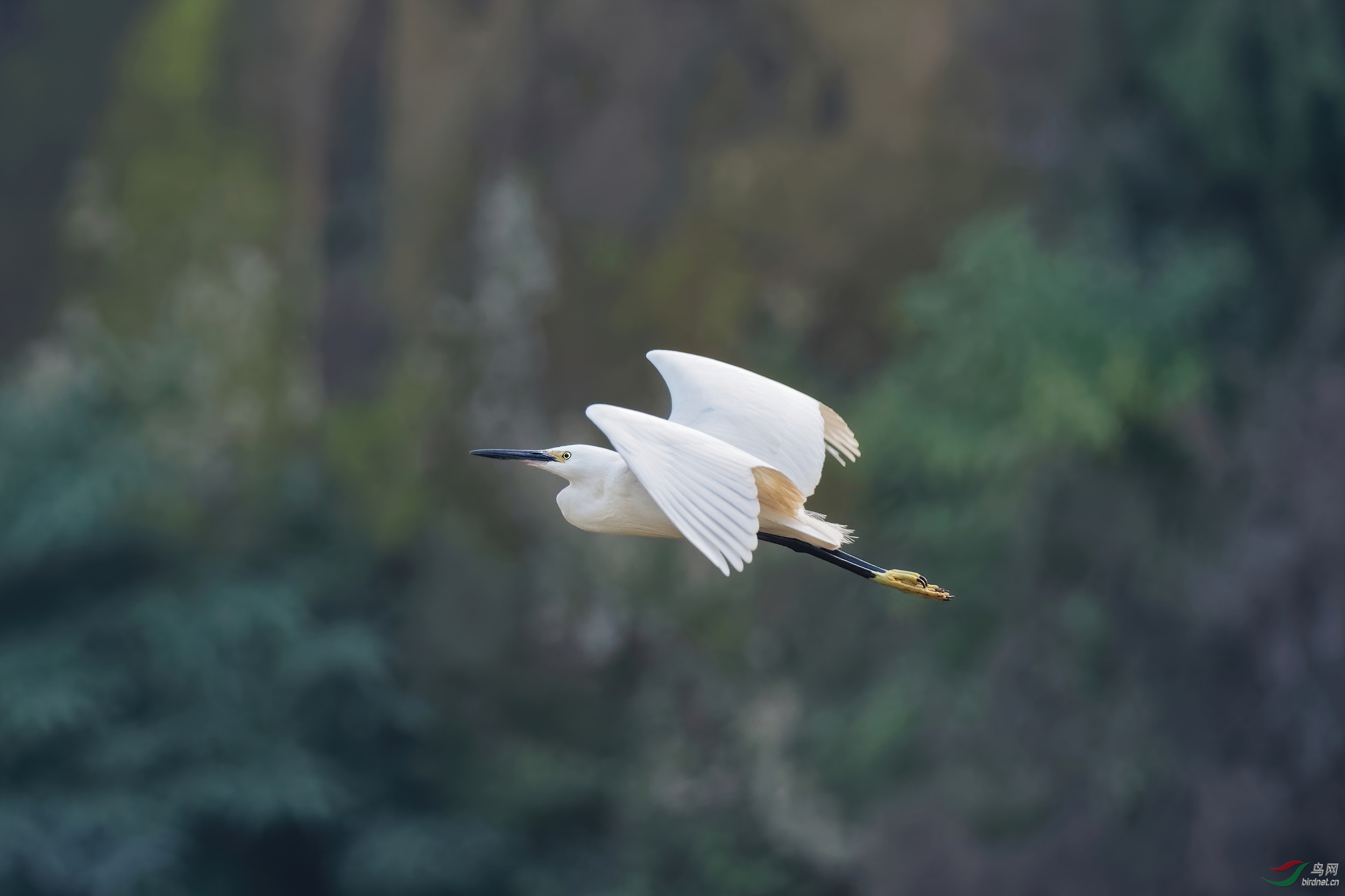 PB100003_DxO-sd2.jpg
