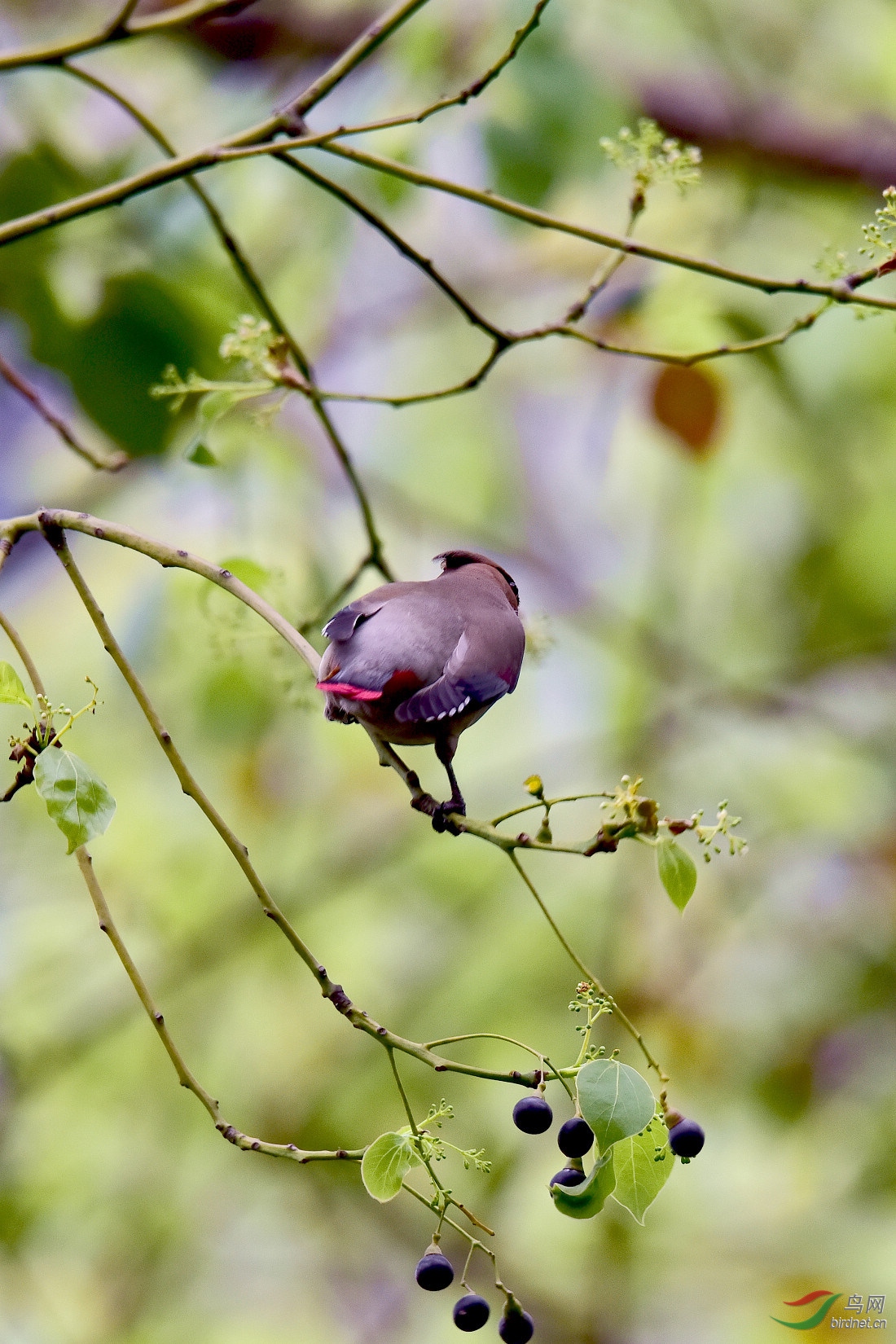 DSC_1097.JPG