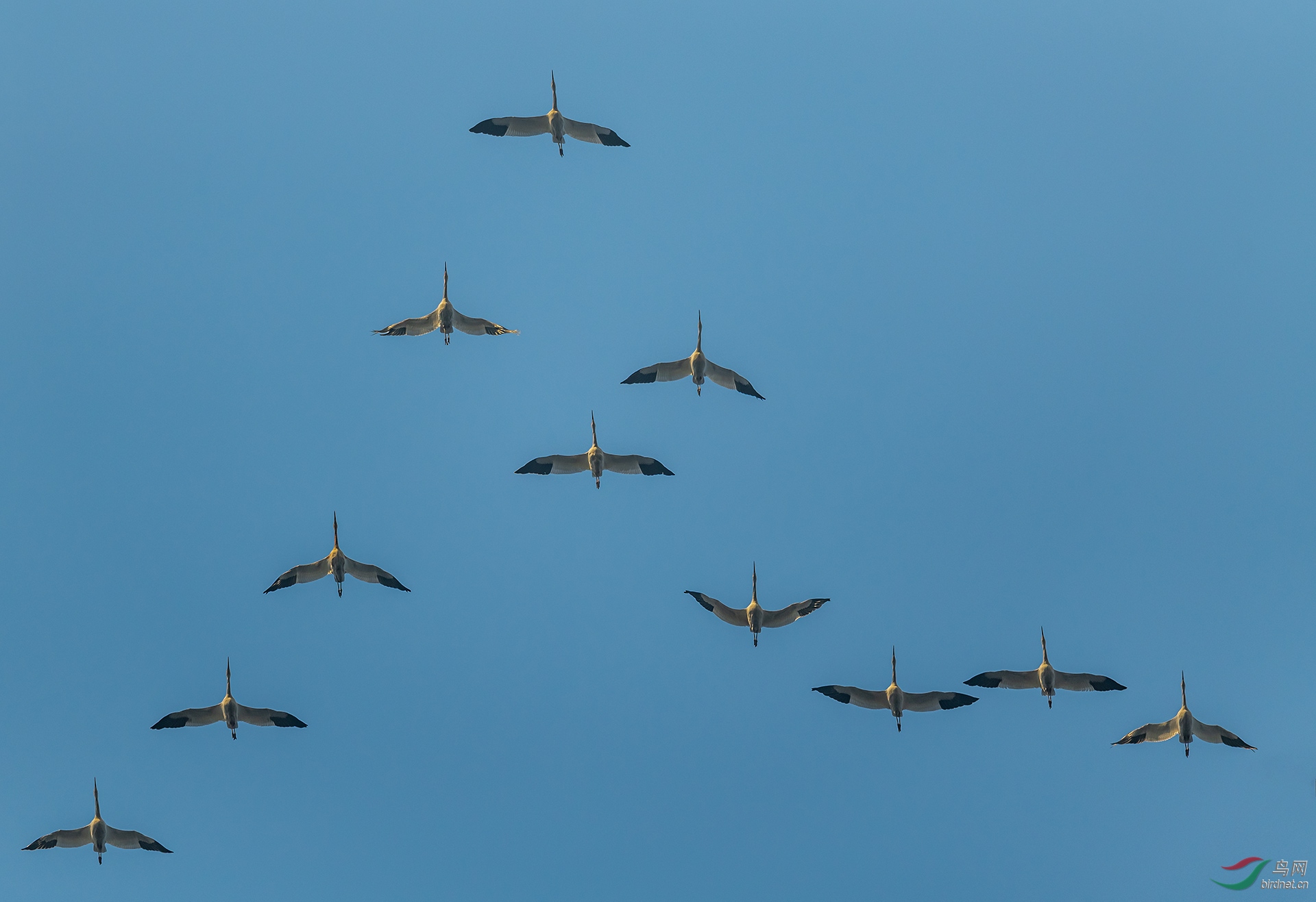 DSC_9710.jpg