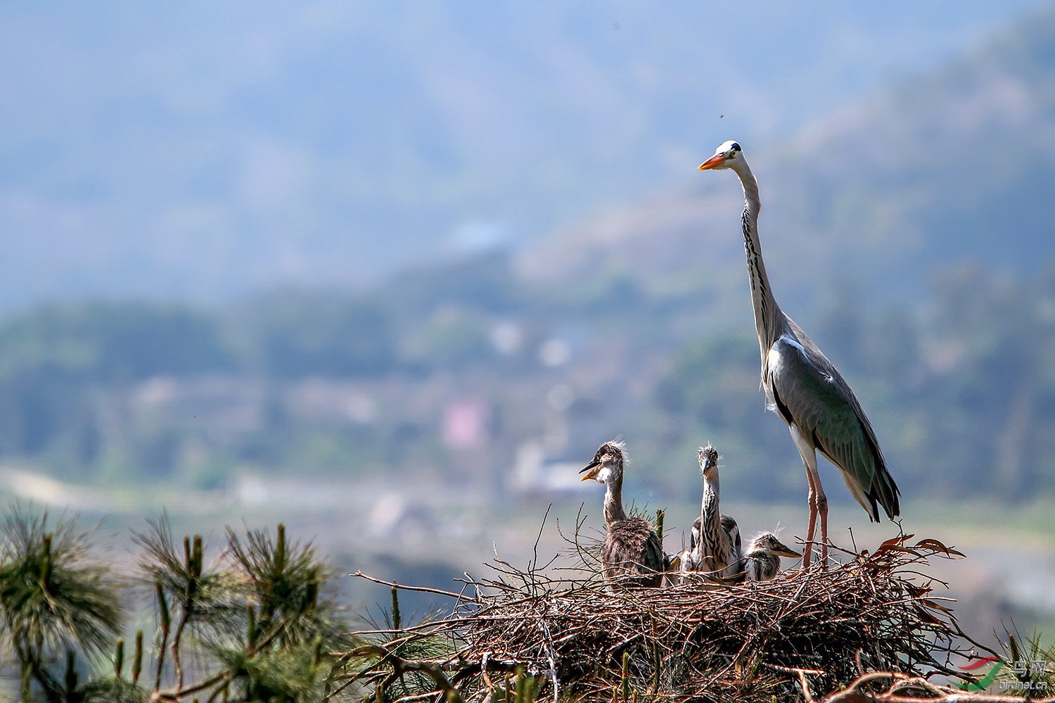 ���ֲ���_MG_0698