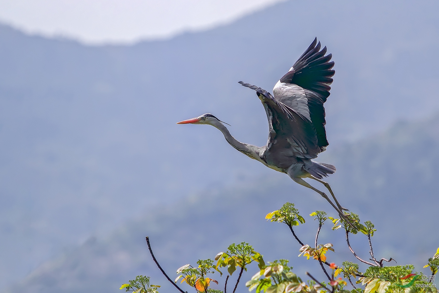 ���ֲ���_MG_0611