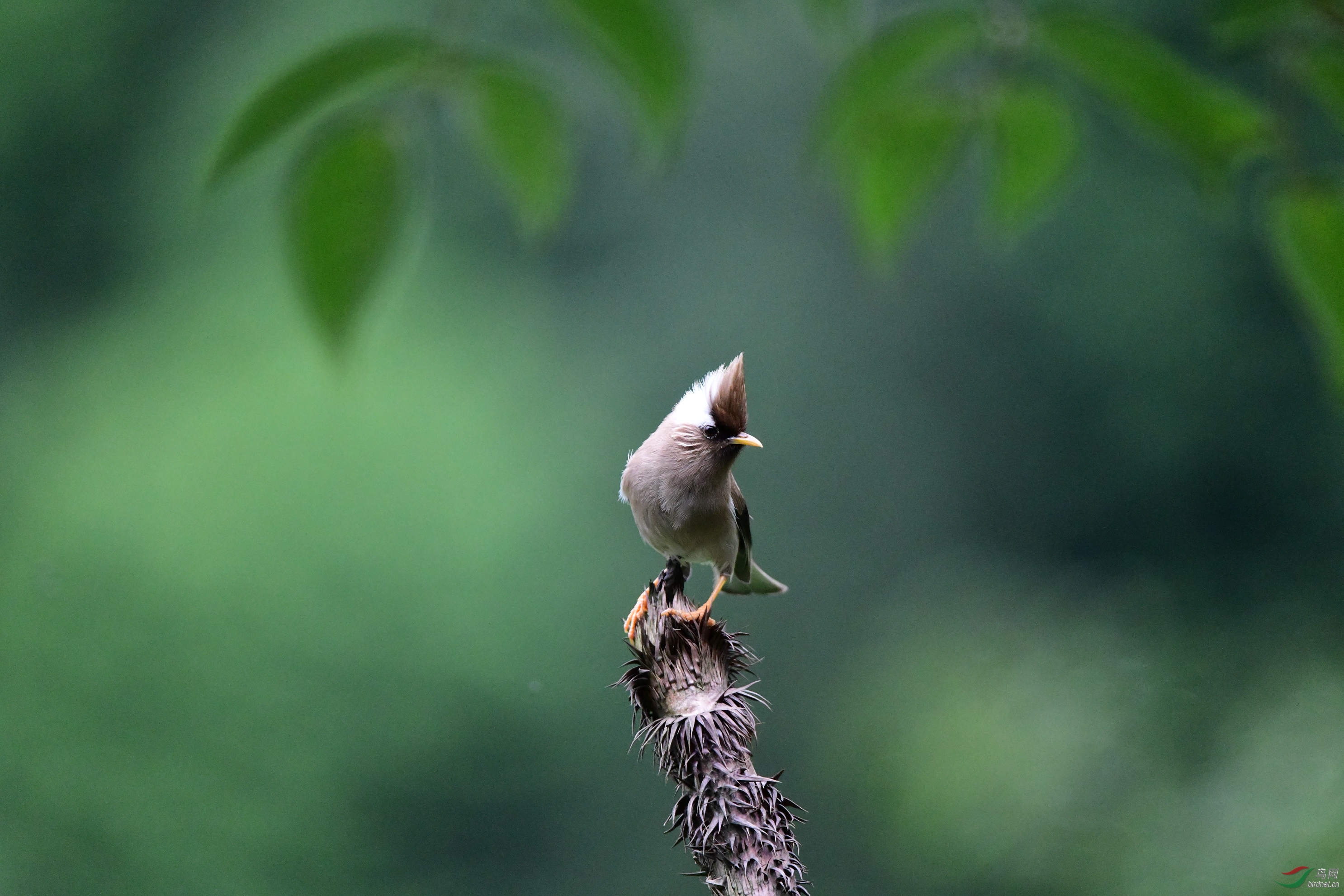 ������� ����������ɽ��̫���徰�� (6).JPG