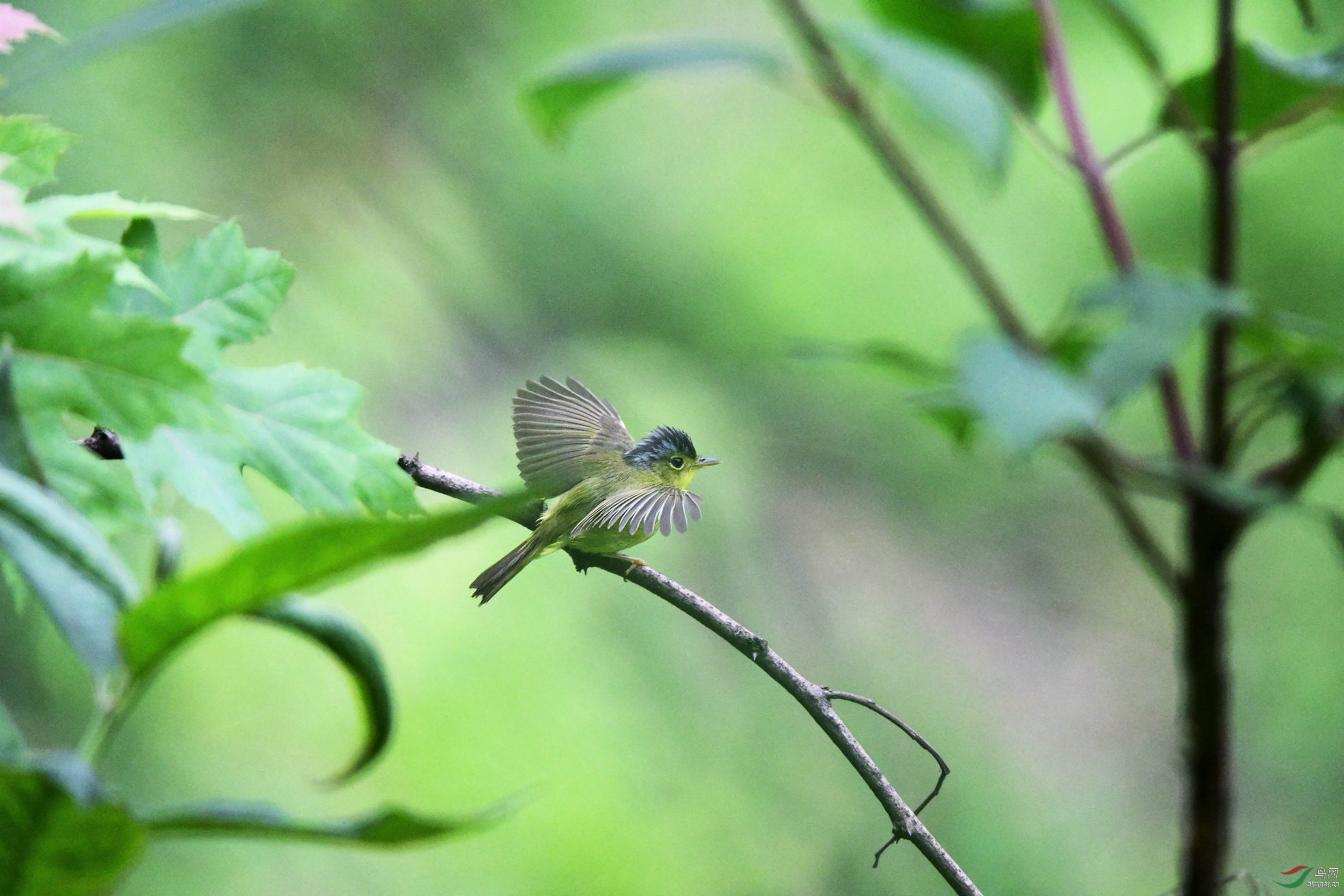 ���ǻҹ��lݺ ����������������ɽ��̫���徰��.JPG