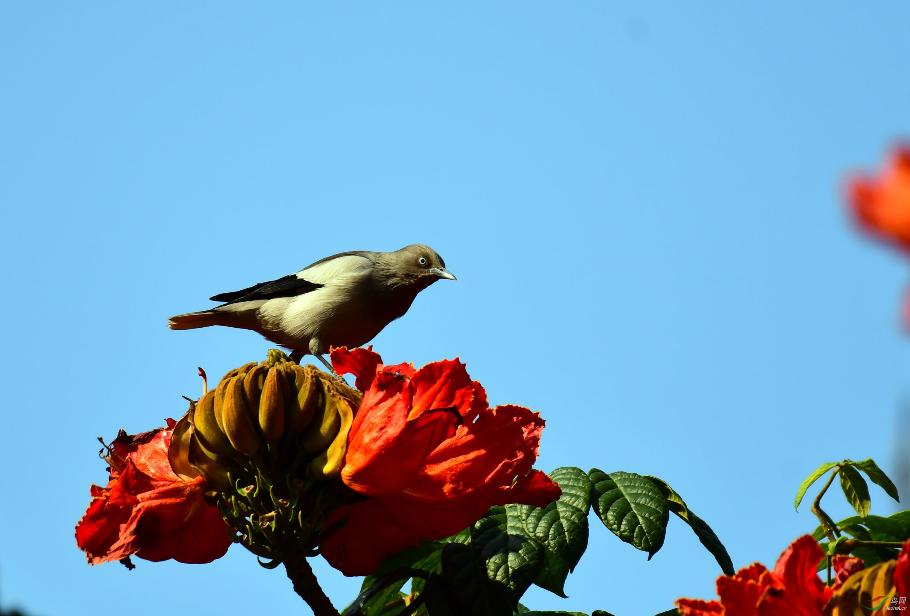 �ұ���� ������԰.JPG