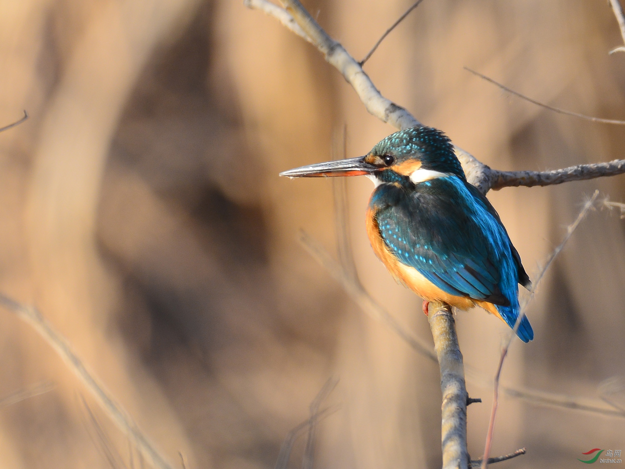 ������Ӱ 248����.jpg